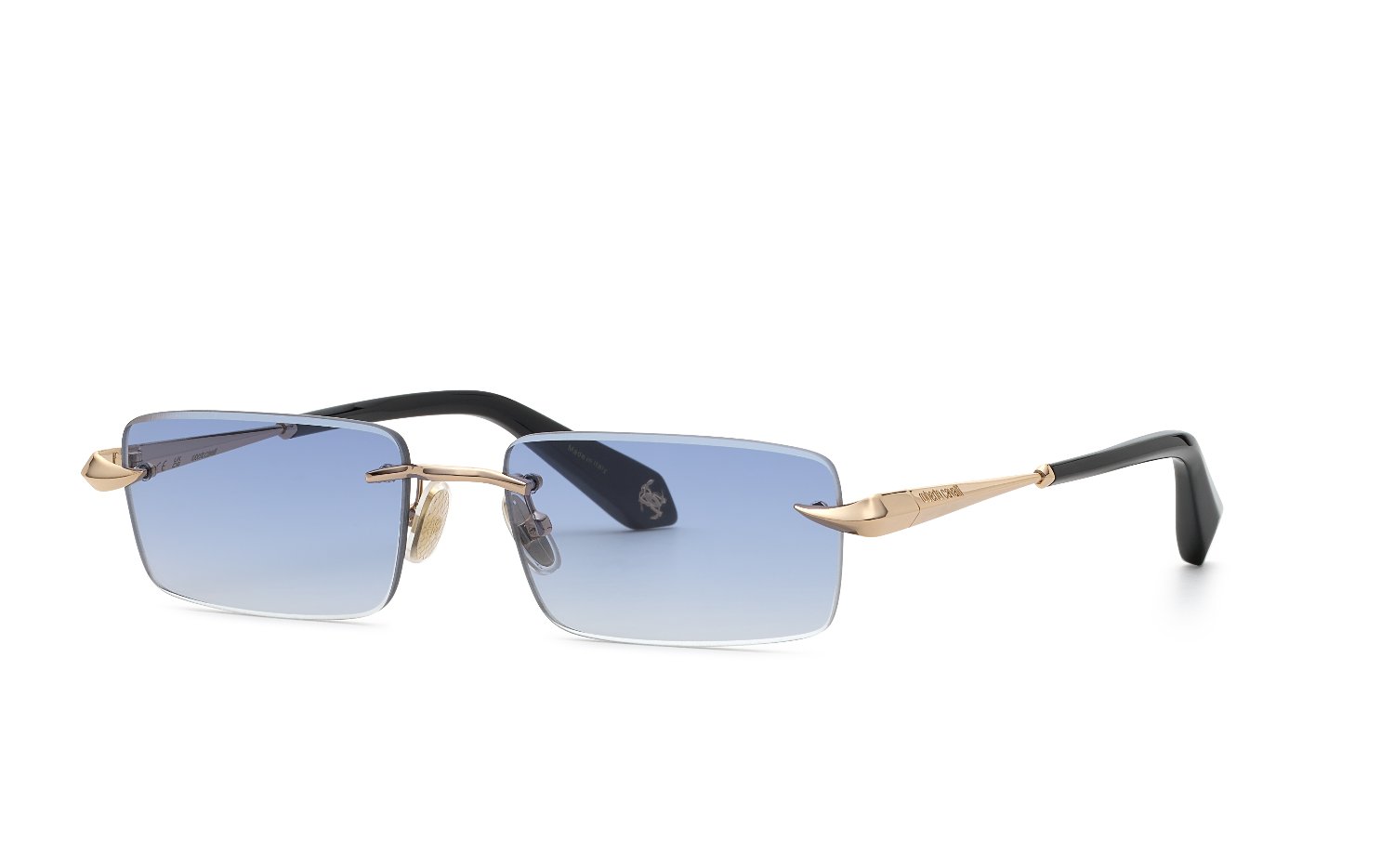 Roberto Cavalli SRC206M 300B
