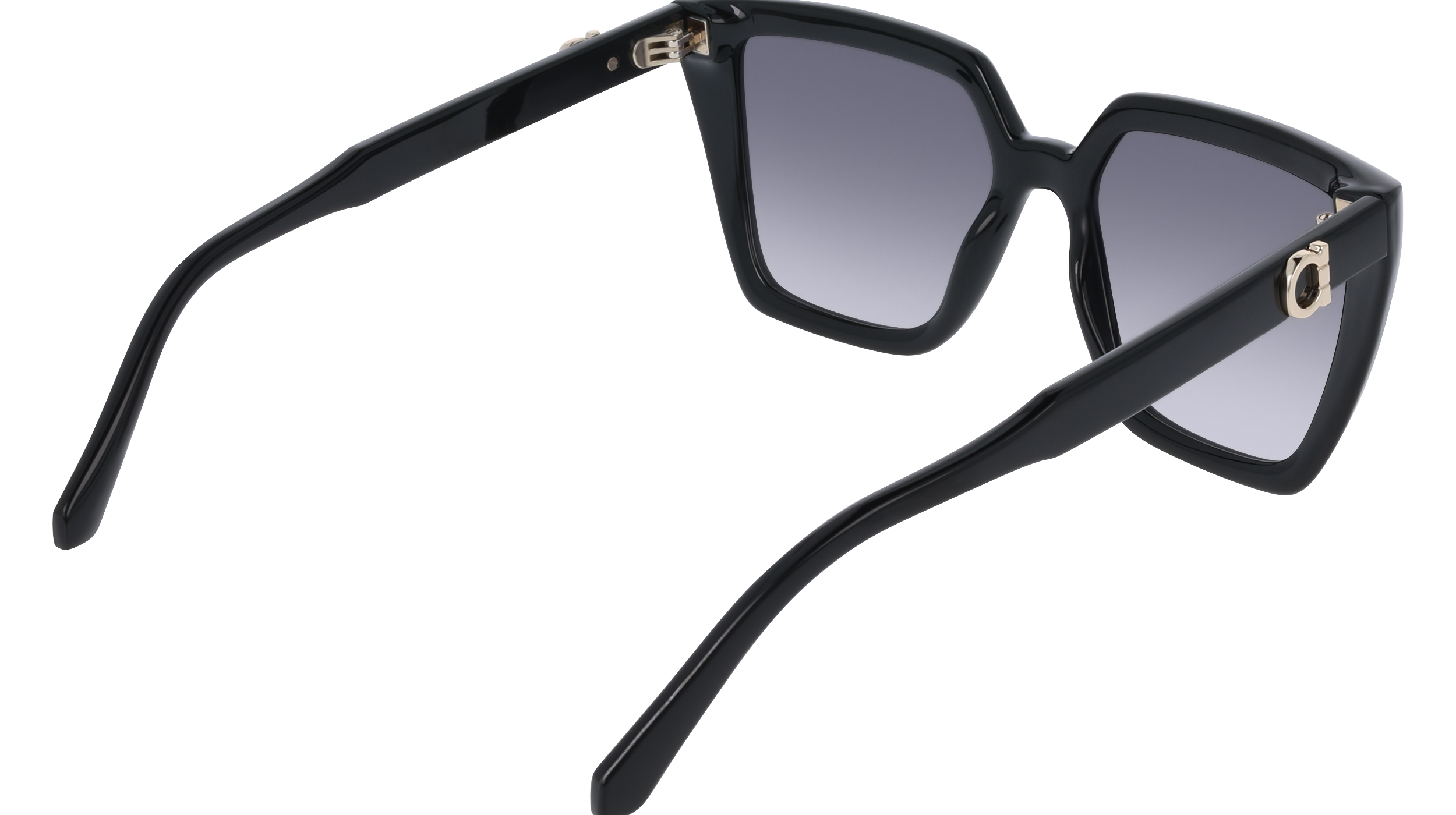 SF2058SE 1 Occhiali da sole Ferragamo 6