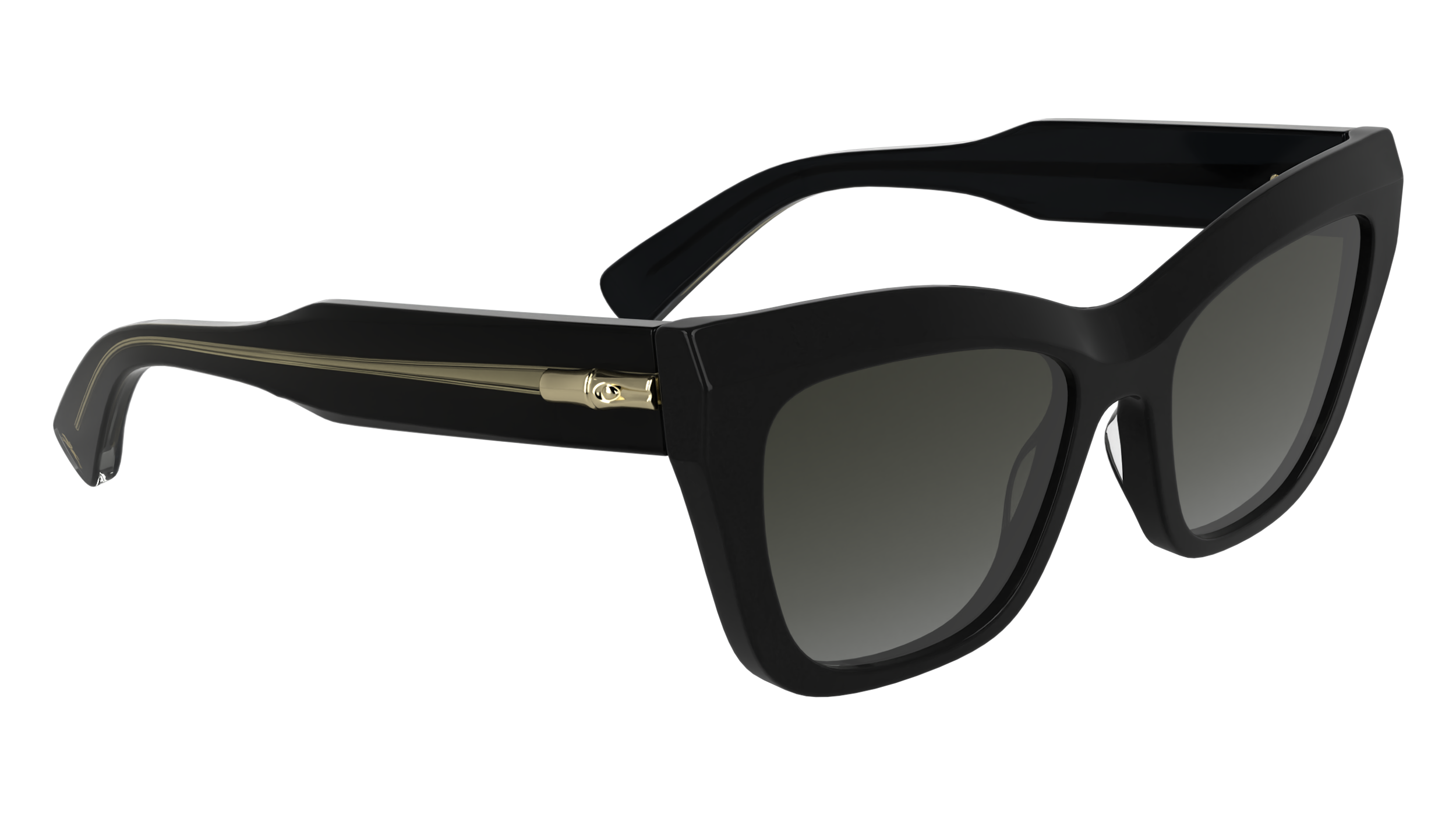LO777S 1 Occhiali da sole LONGCHAMP 8
