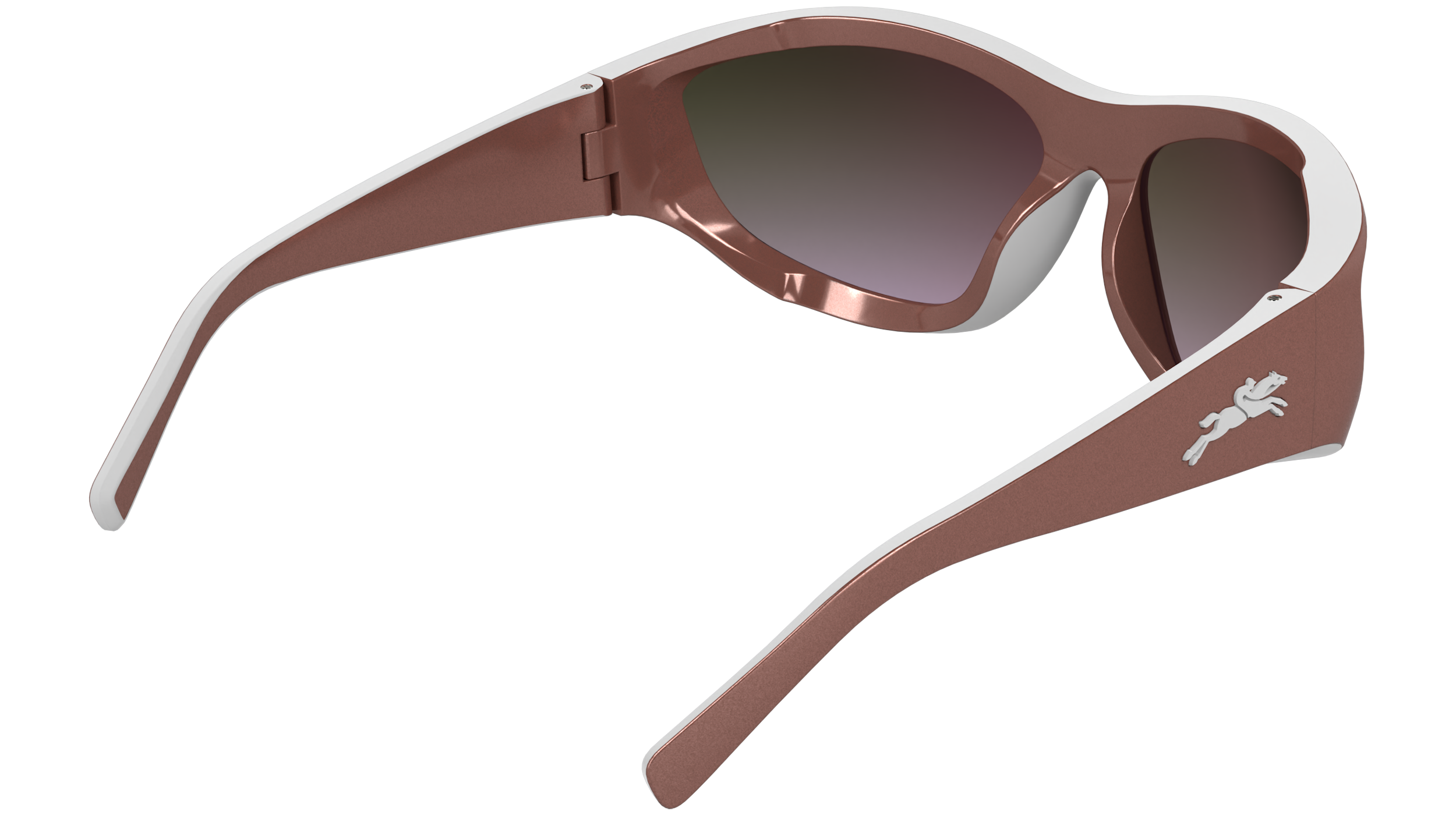 LONGCHAMP LO796S 617