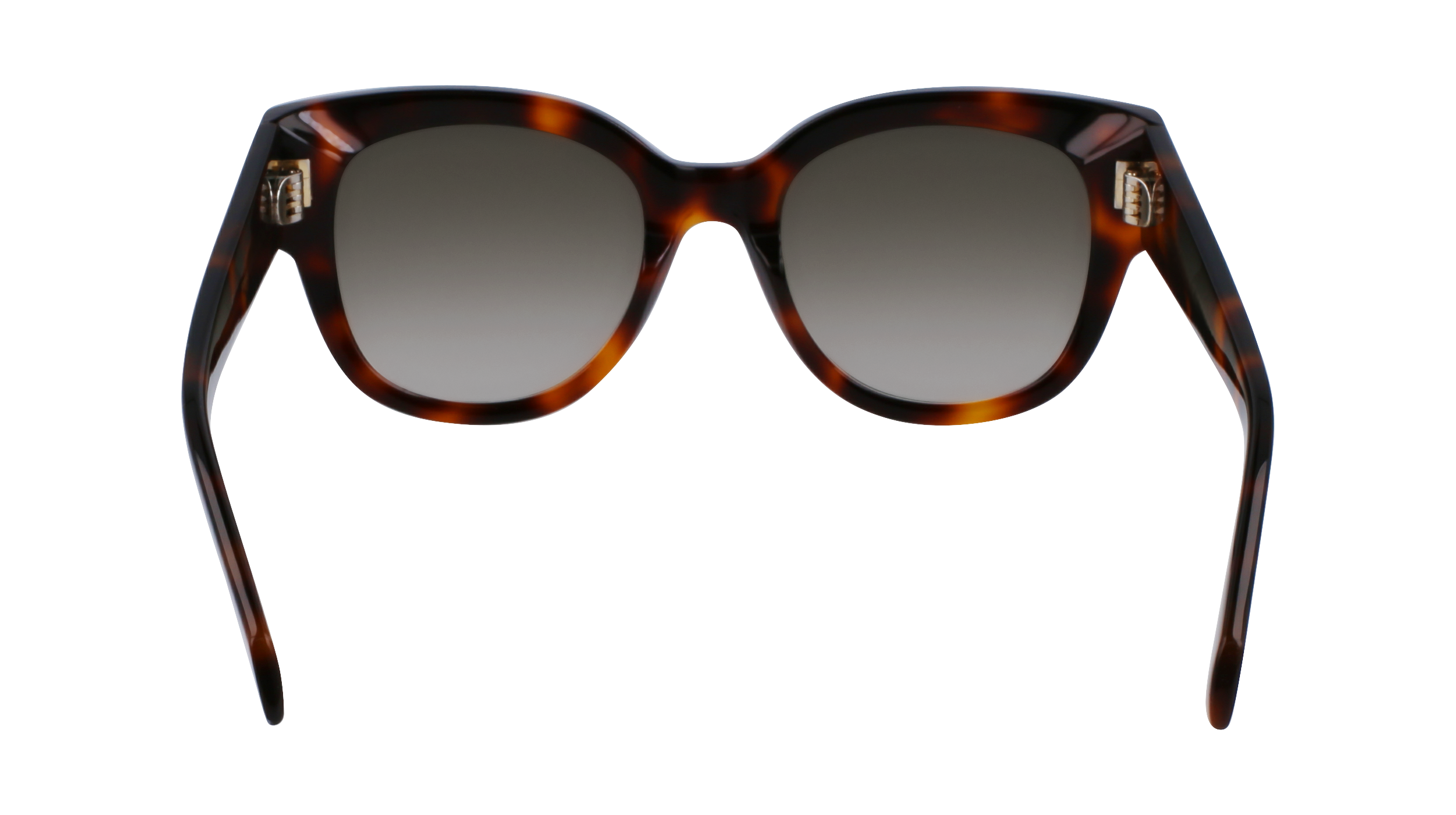 SF2007S 240 Occhiali da sole Ferragamo 5