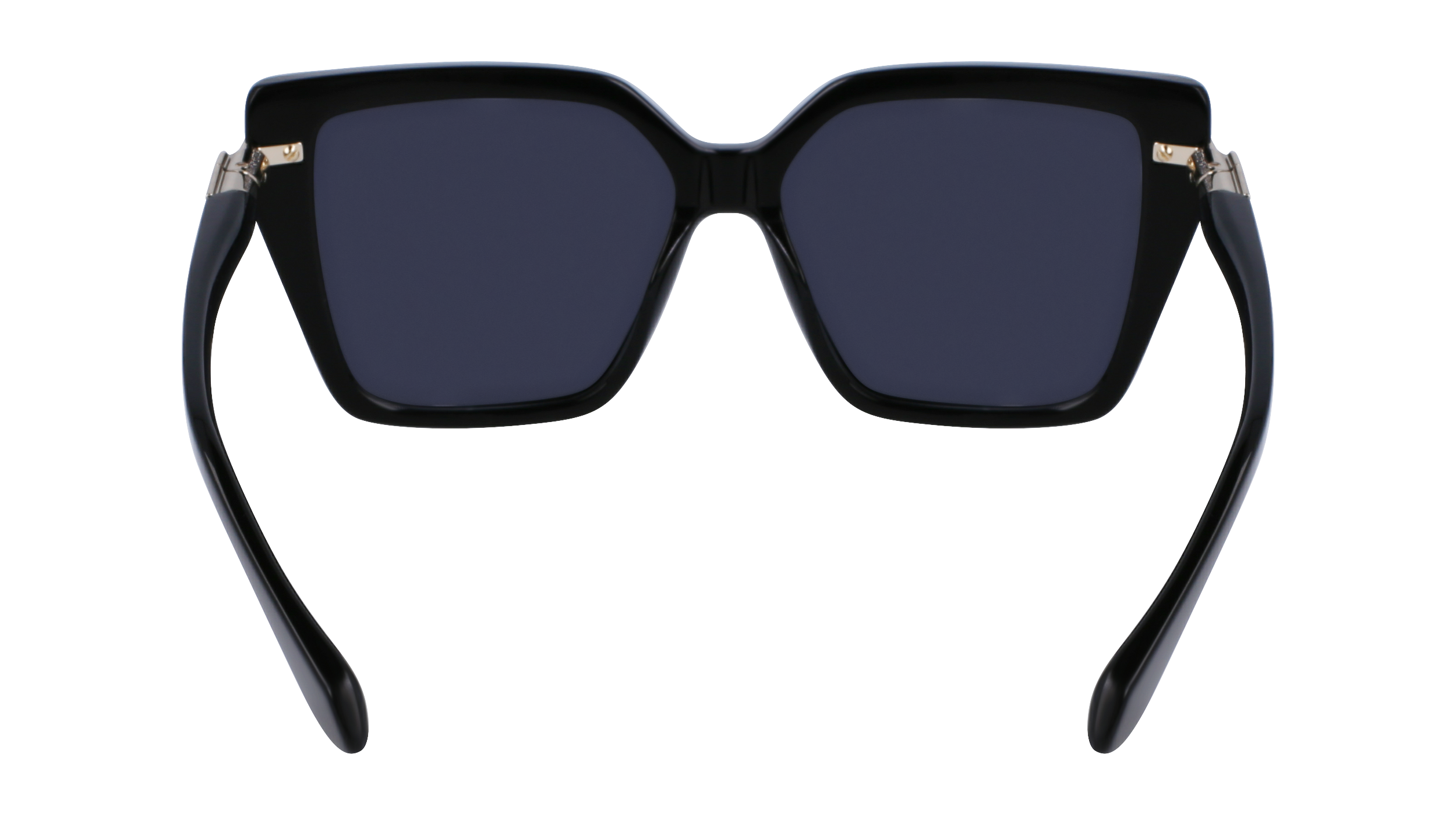 SF1106S 001 Occhiali da sole Ferragamo 10