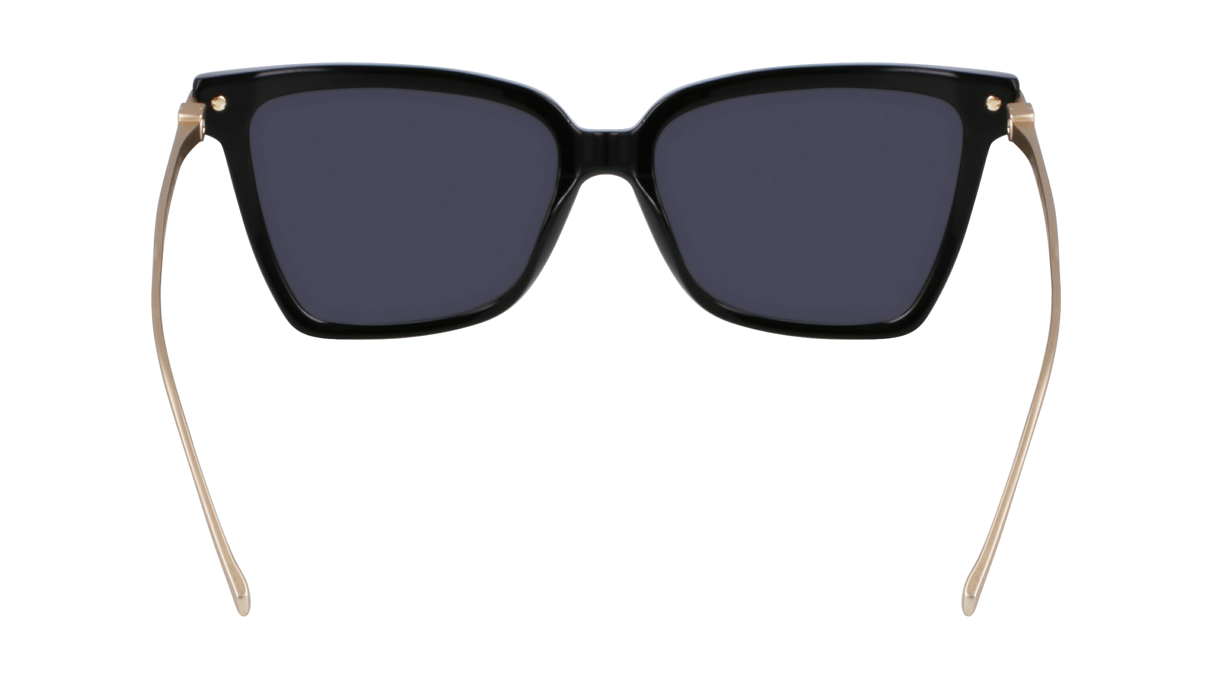SF2036S 001 Occhiali da sole Ferragamo 6