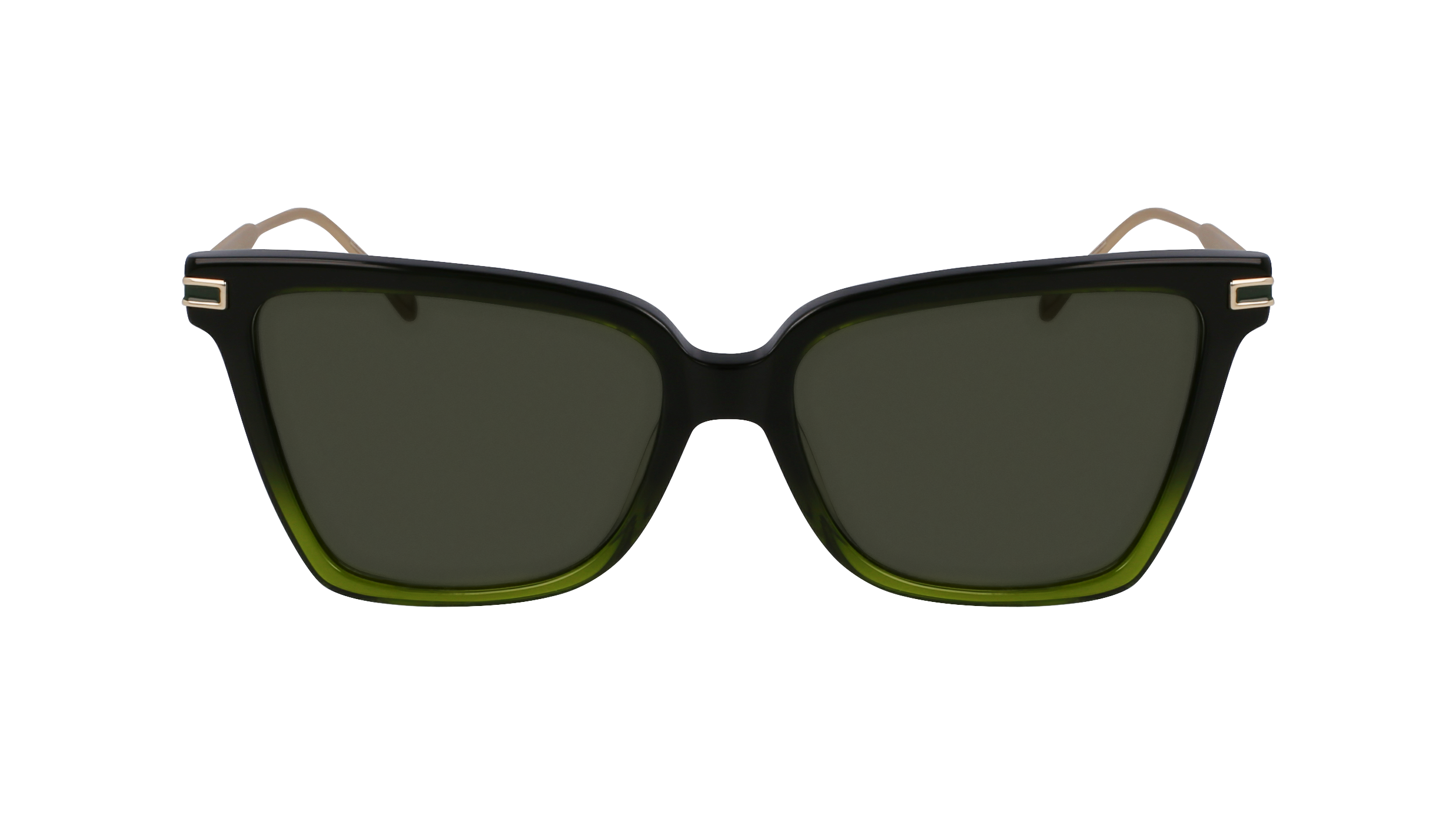 SF2036S 316 Occhiali da sole Ferragamo 2