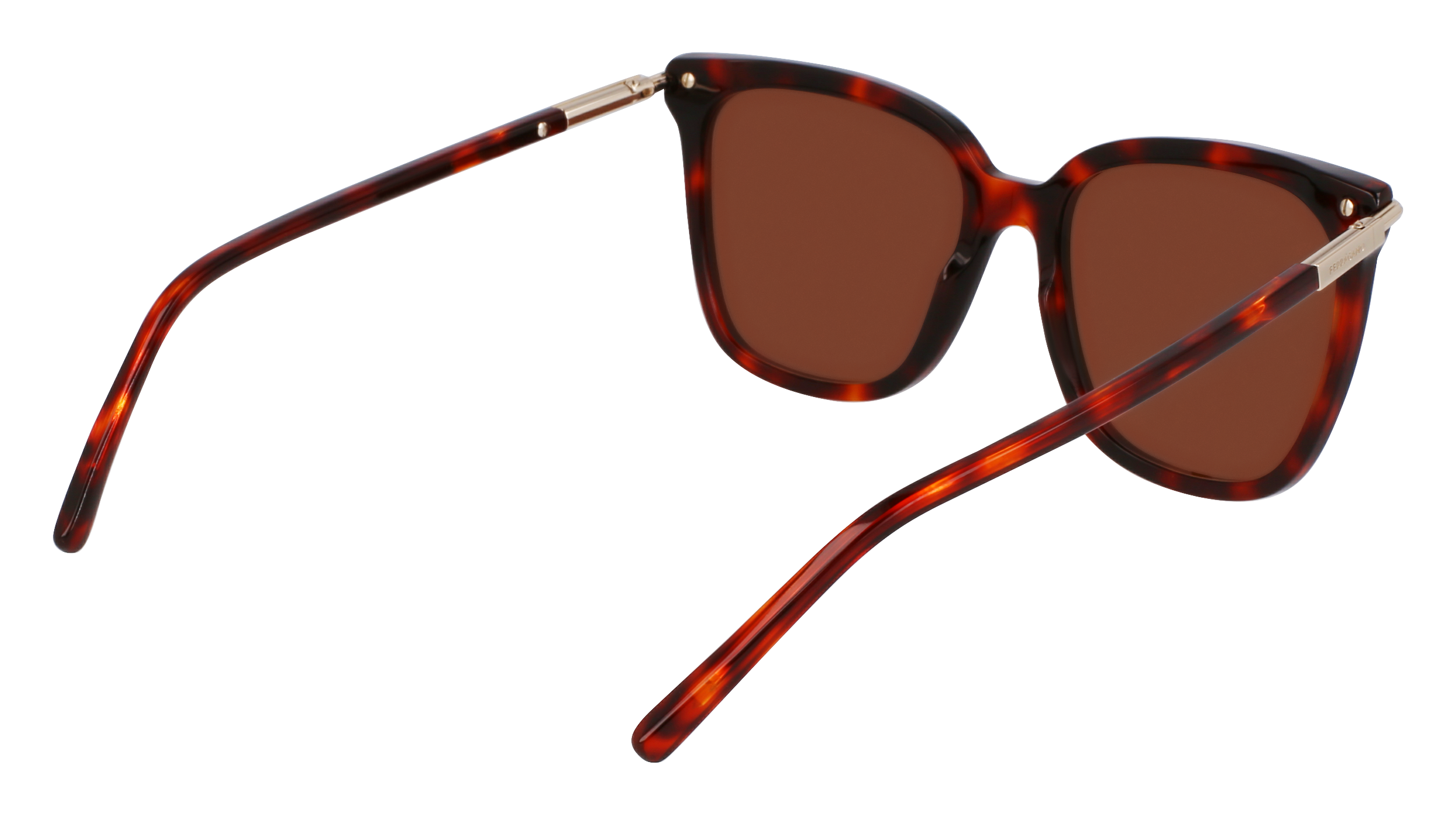 SF2037S 640 Occhiali da sole Ferragamo 5