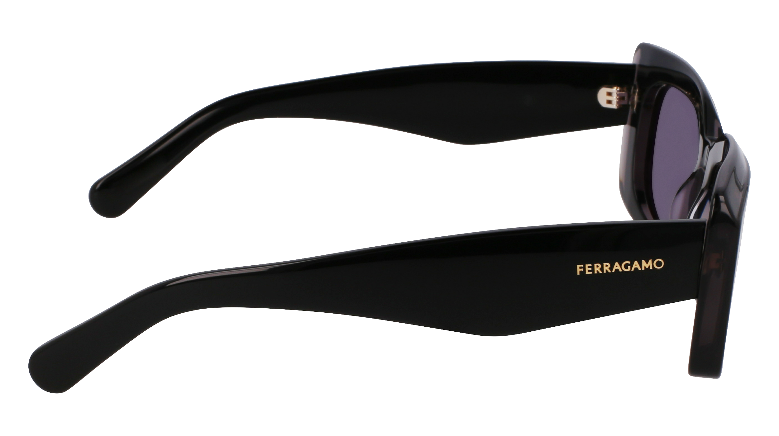 SF1079SN 022 Occhiali da sole Ferragamo 7