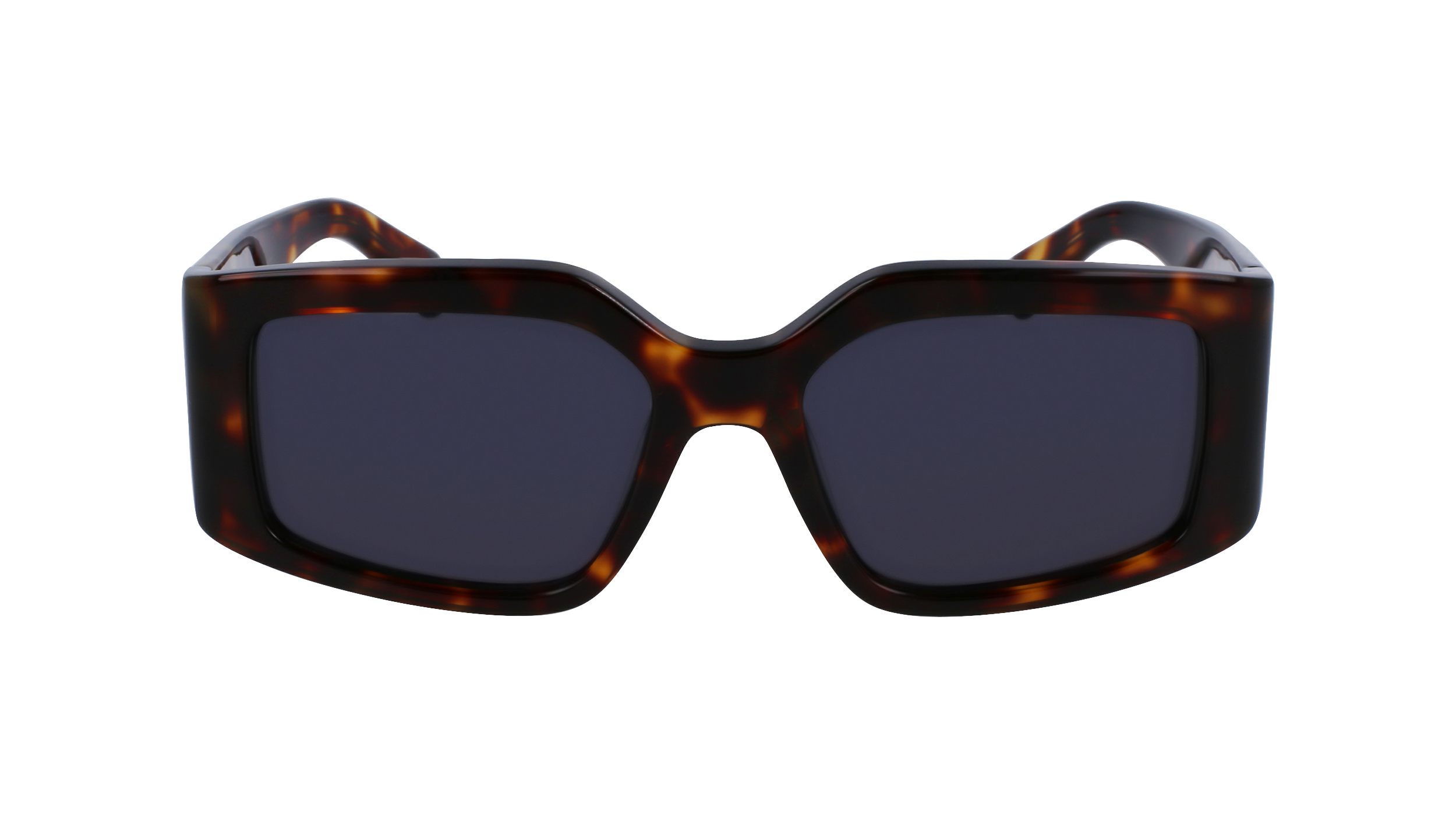 SF1101S 242 Occhiali da sole Ferragamo 3