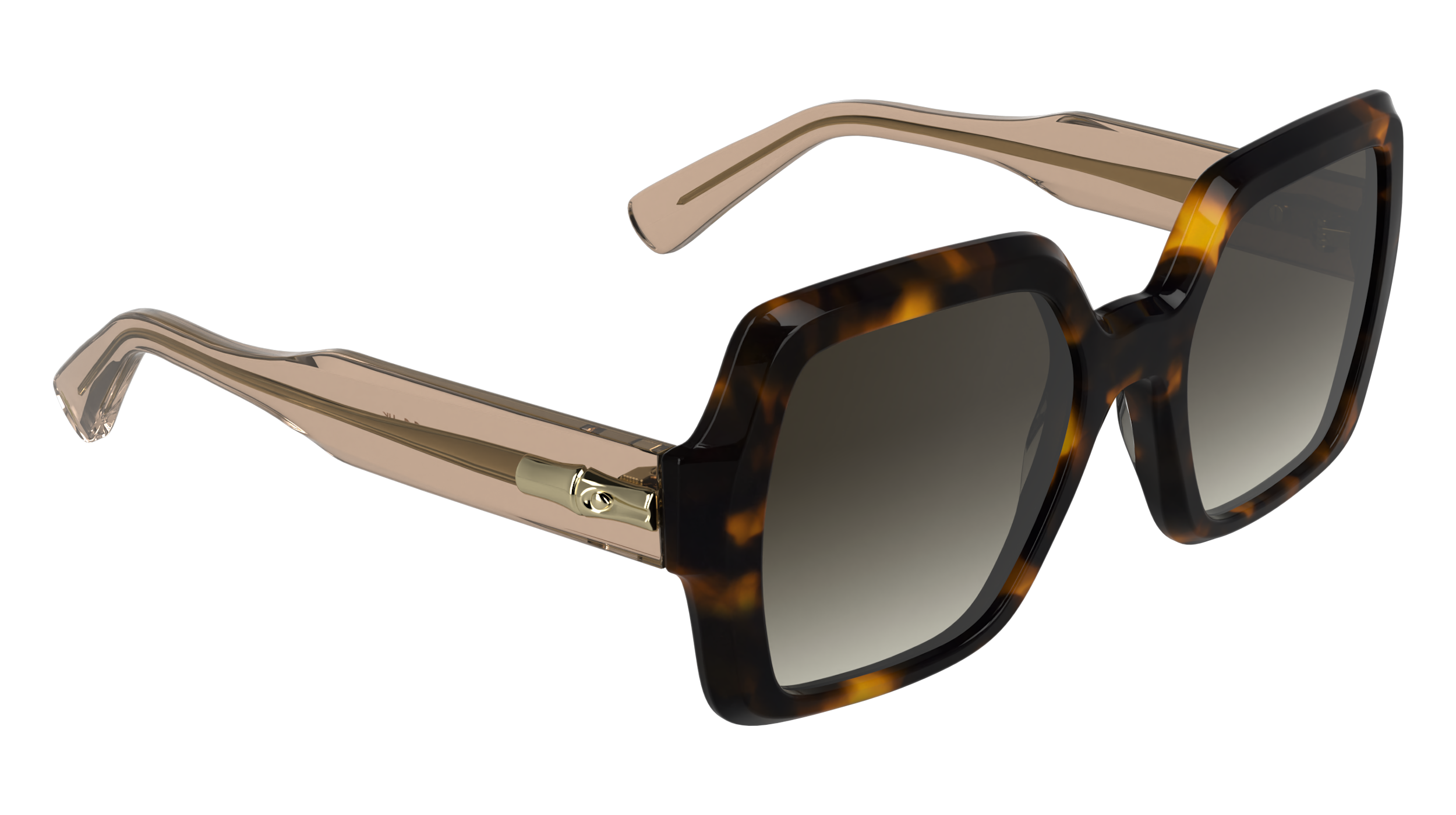 LONGCHAMP LO790S 231