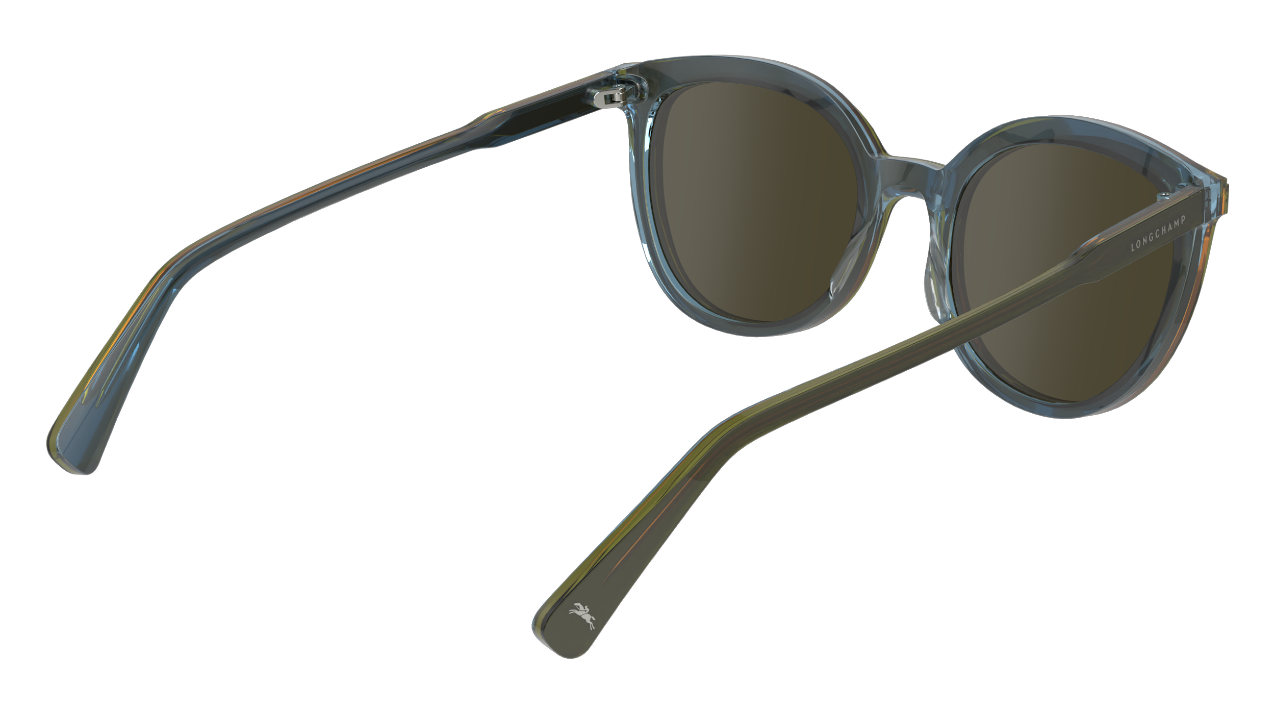 LO739S 310 Occhiali da sole LONGCHAMP 5