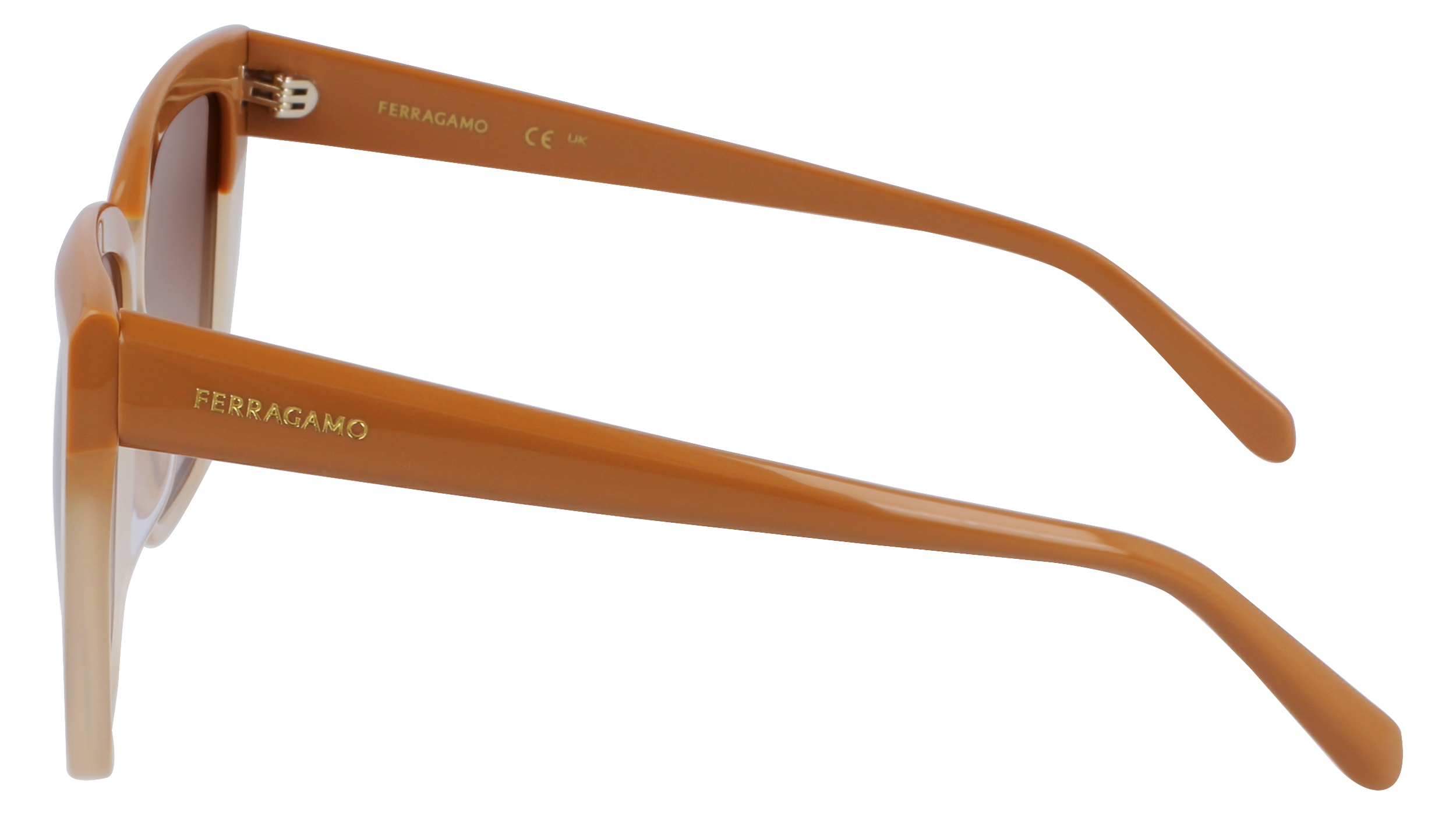 SF1102S 261 Occhiali da sole Ferragamo 6