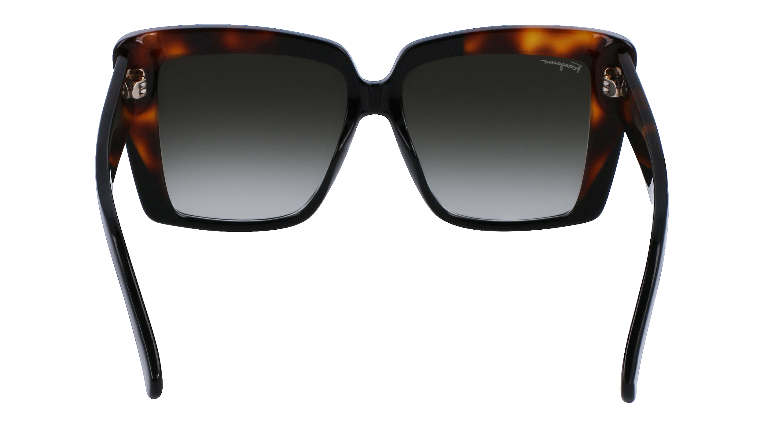 SF1060S 6 Occhiali da sole Ferragamo 6