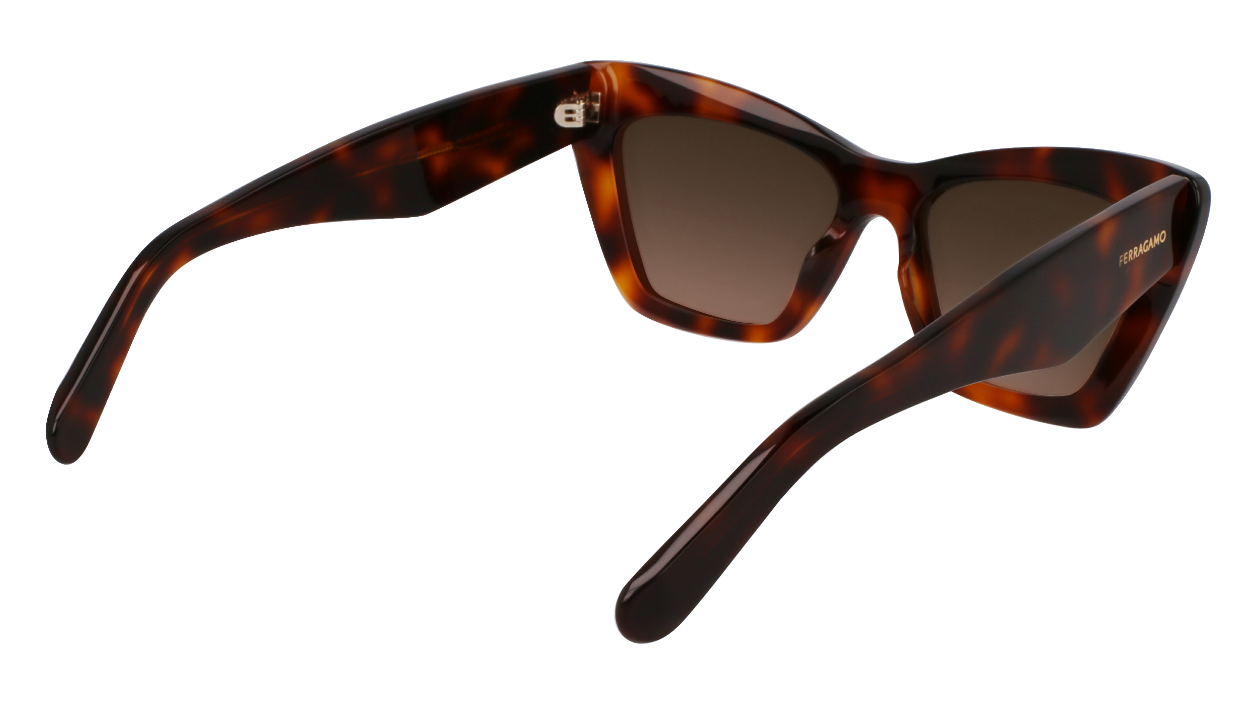 SF929SN 219 Occhiali da sole Ferragamo 5