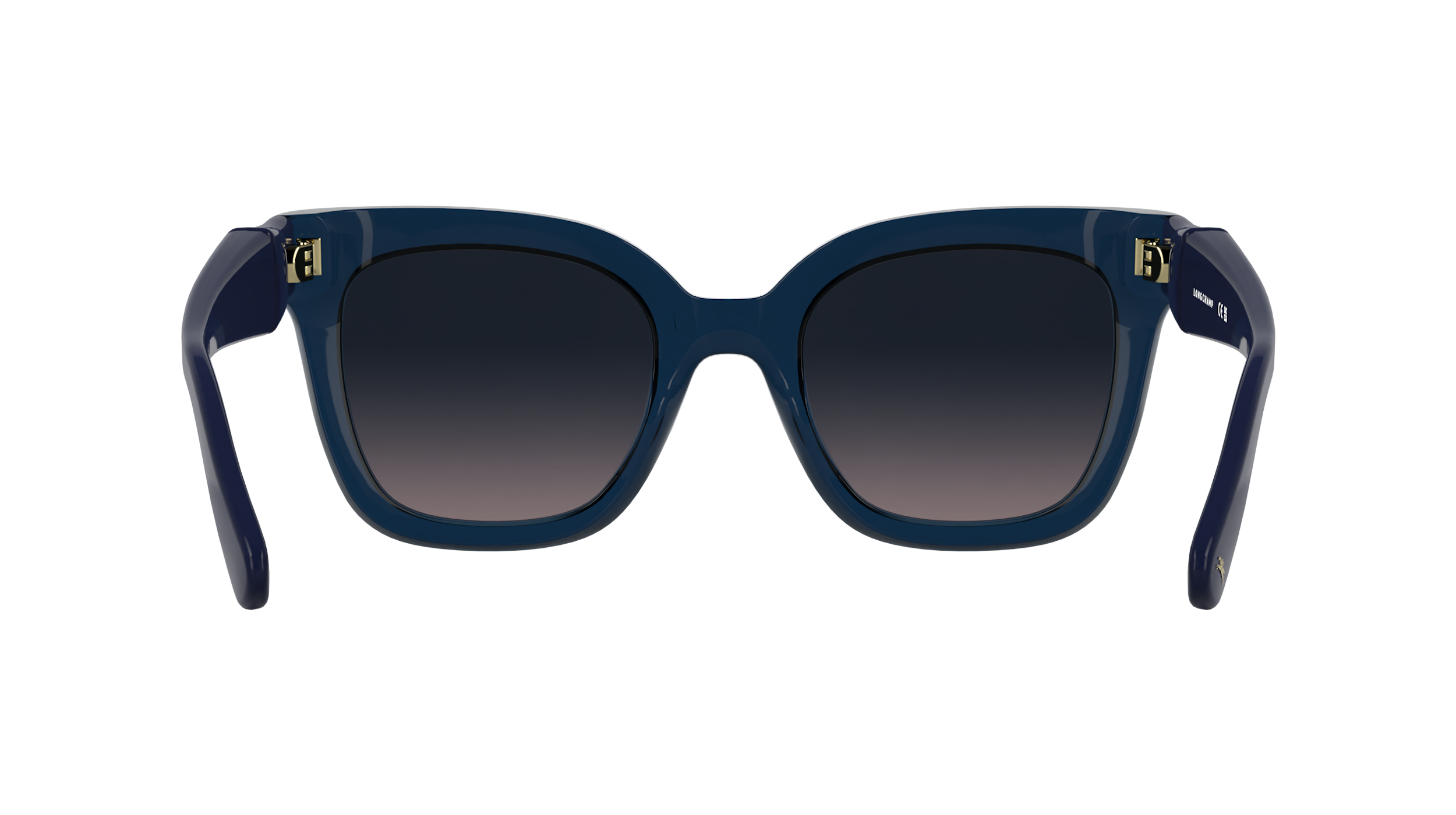 LO793S 400 Occhiali da sole LONGCHAMP 5