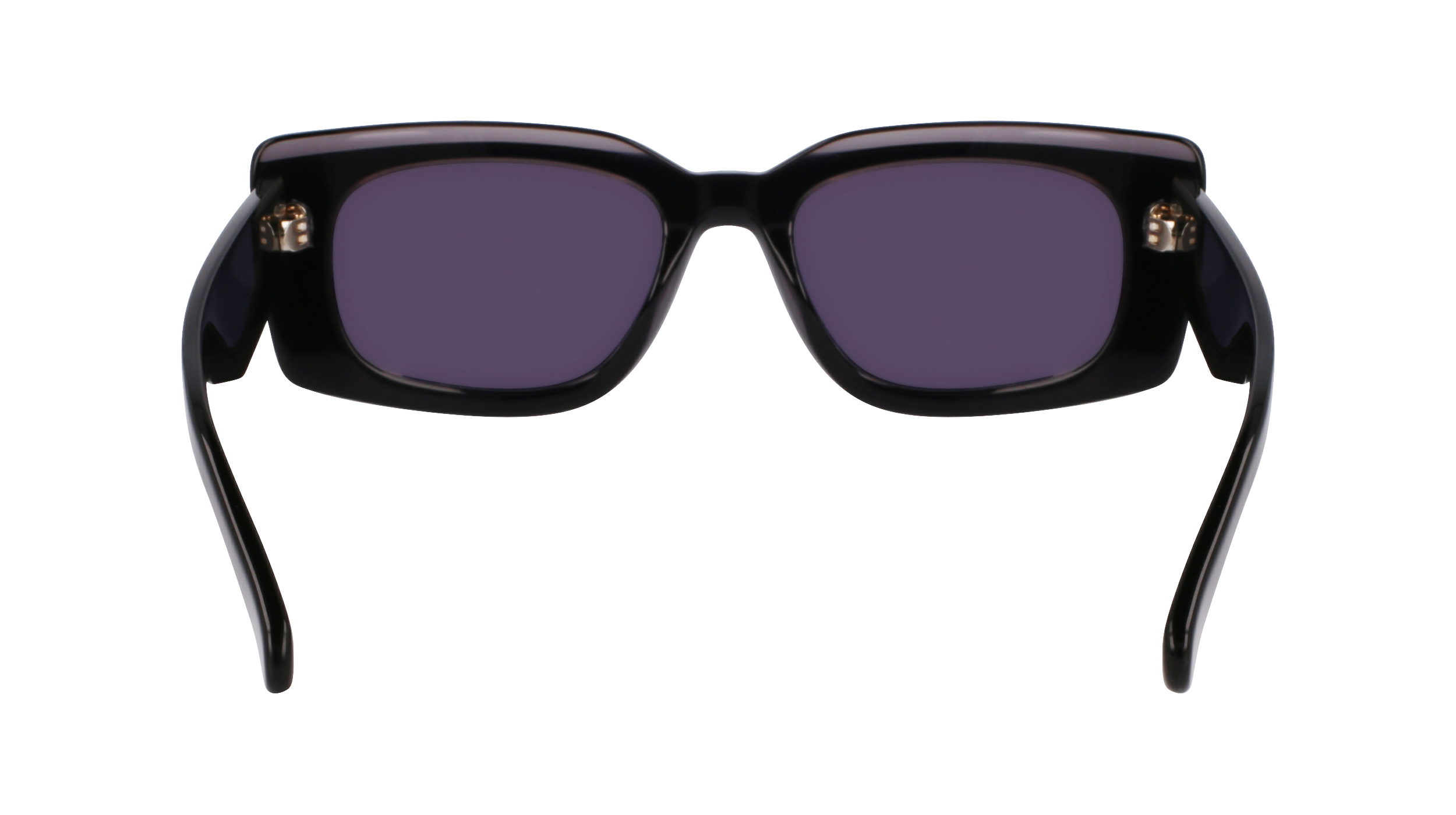SF1079SN 022 Occhiali da sole Ferragamo 6