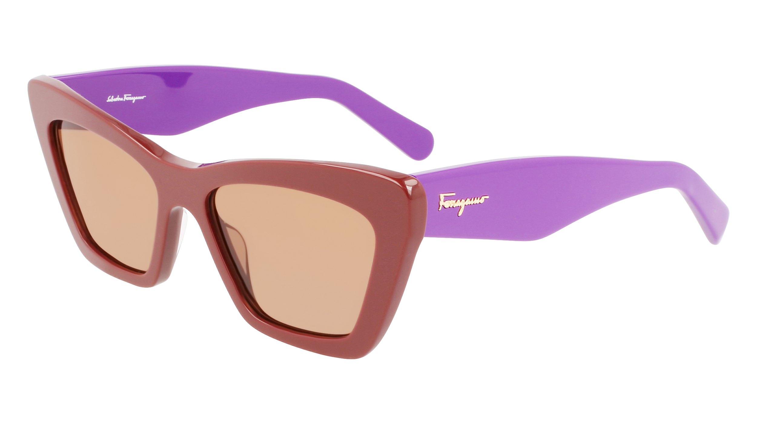 SF929S 209 Occhiali da sole Ferragamo 1