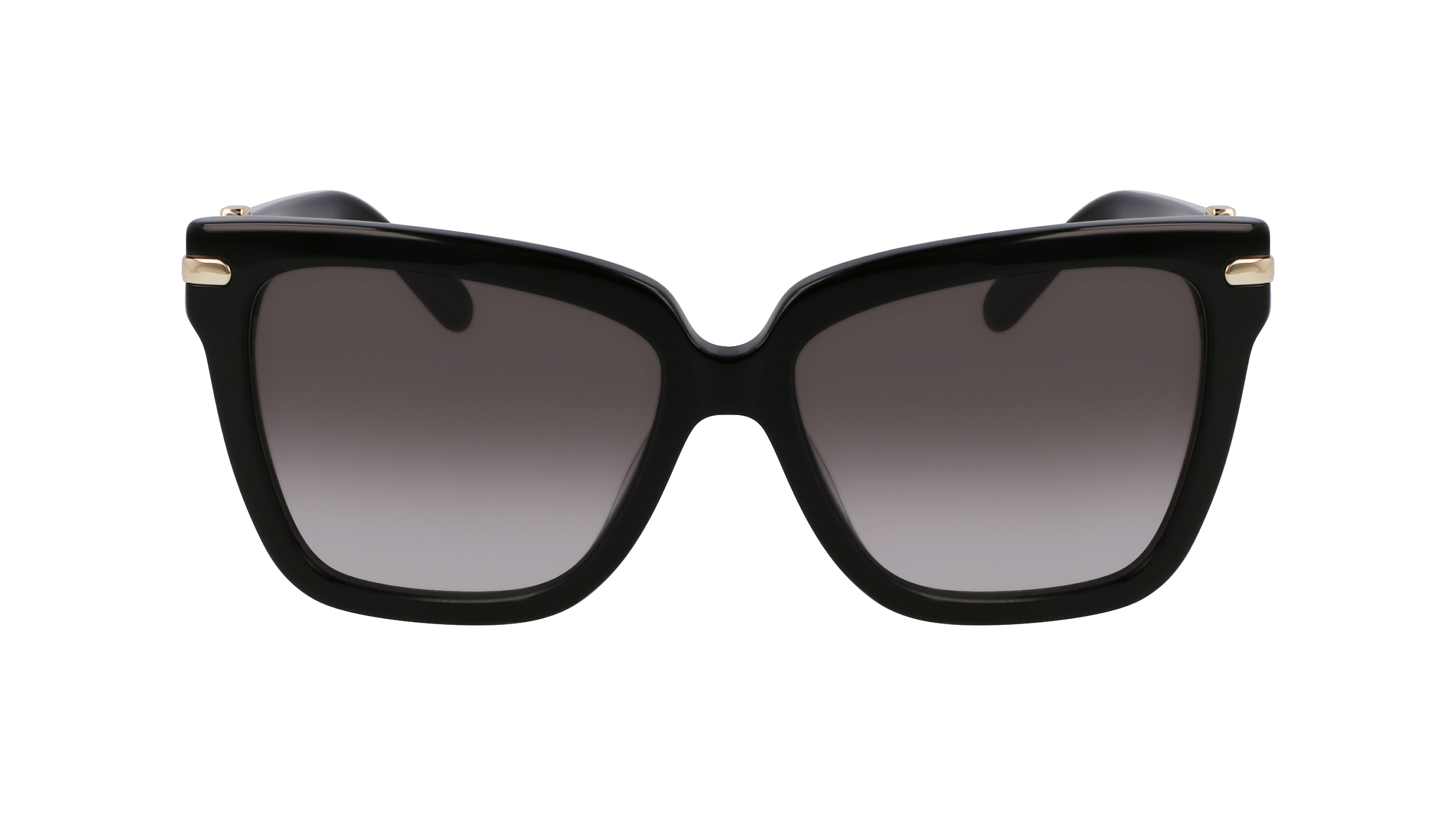 SF1085SN 011 Occhiali da sole Ferragamo 2