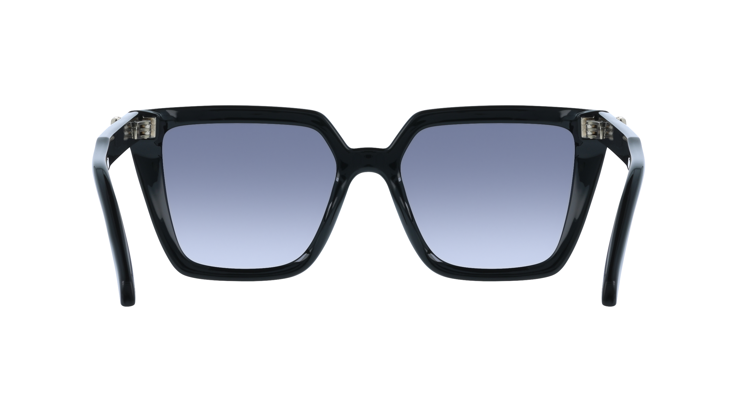 SF2058SE 1 Occhiali da sole Ferragamo 5