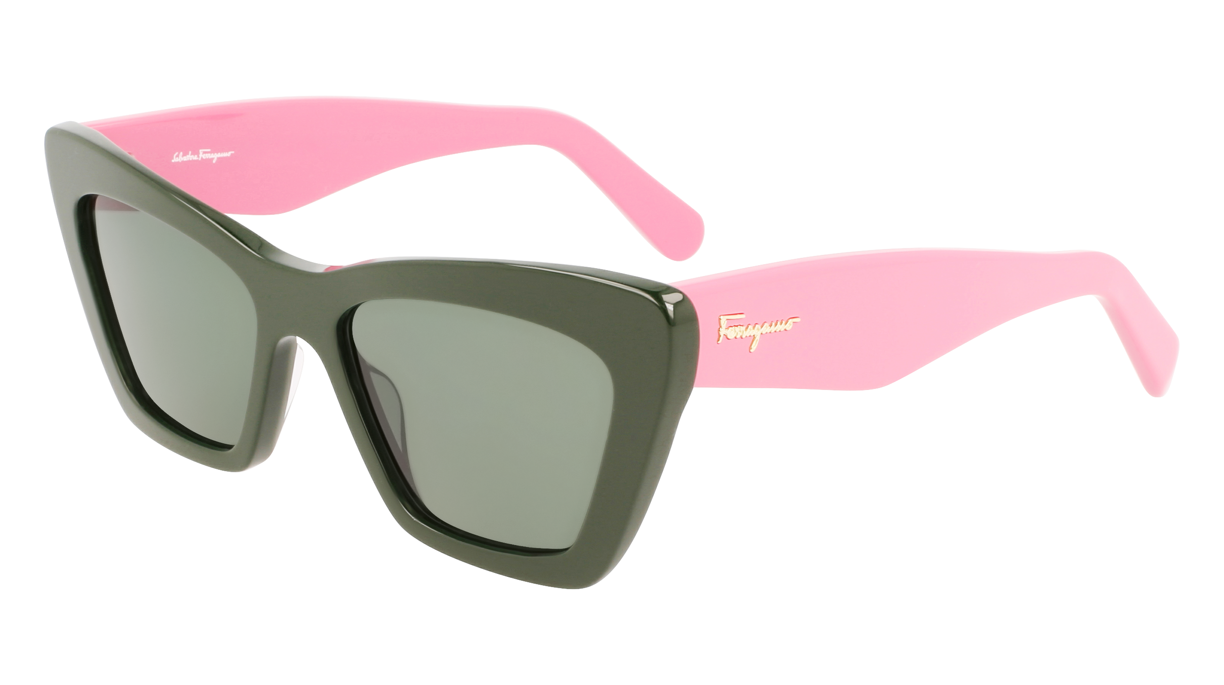 SF929S 304 Occhiali da sole Ferragamo 1