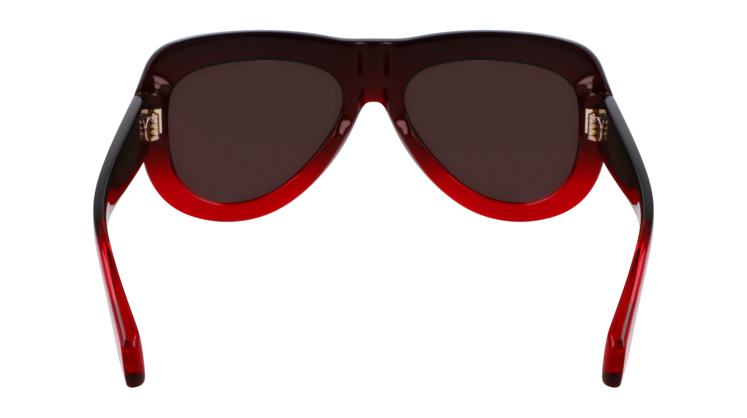SF2029SE 615 Occhiali da sole Ferragamo 6