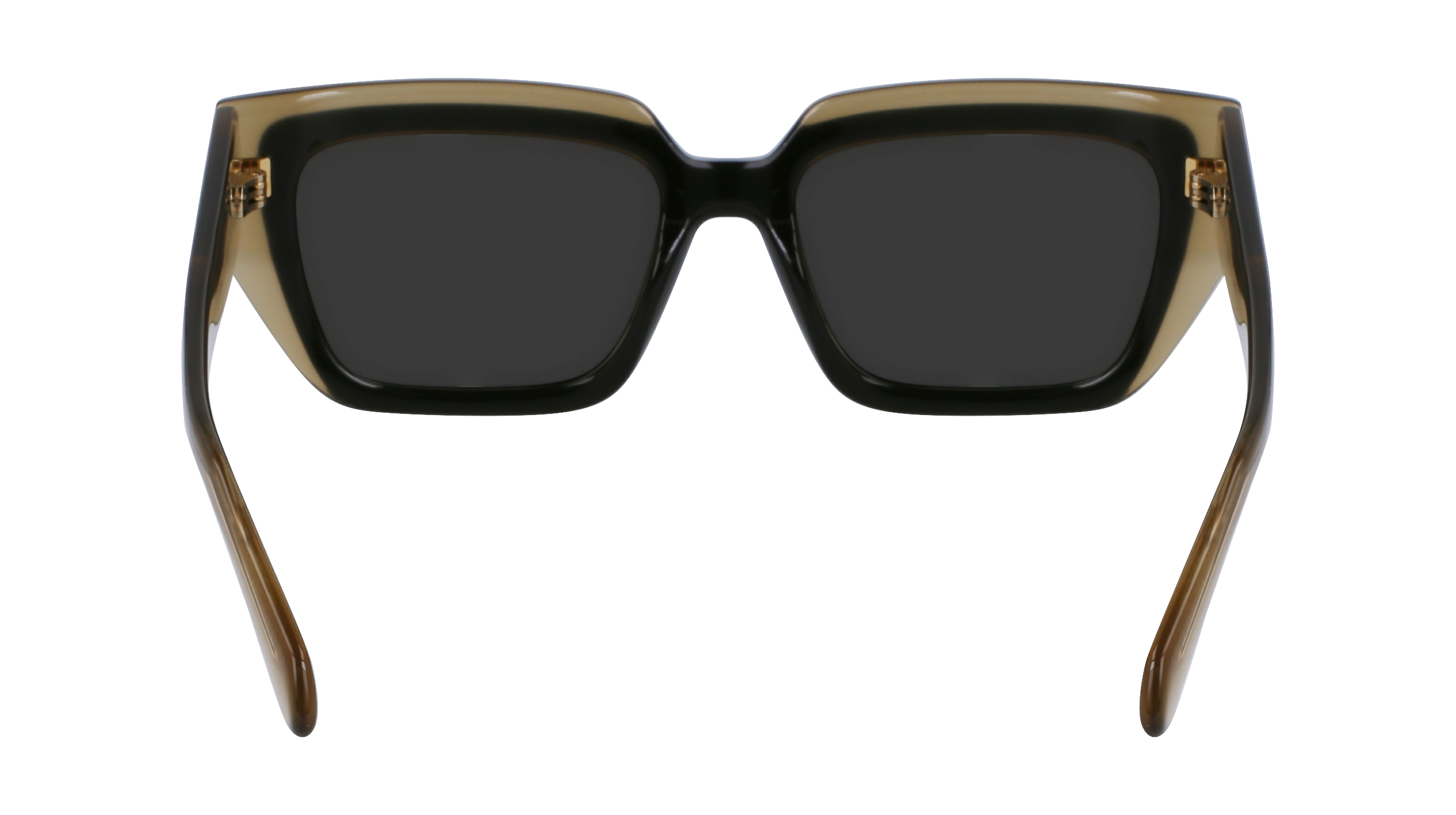 SF2002S 327 Occhiali da sole Ferragamo 6