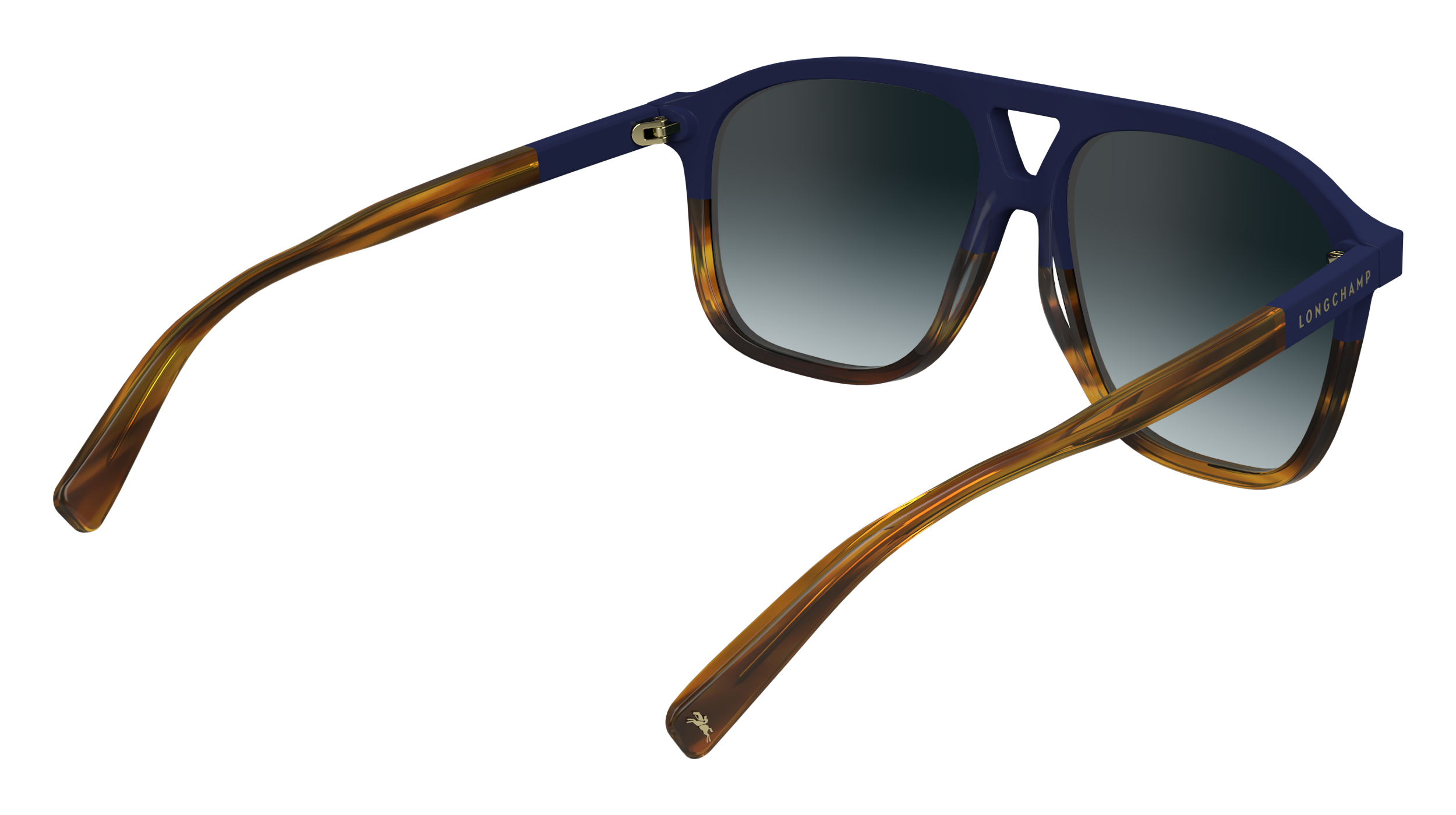 LO751S 430 Occhiali da sole LONGCHAMP 5