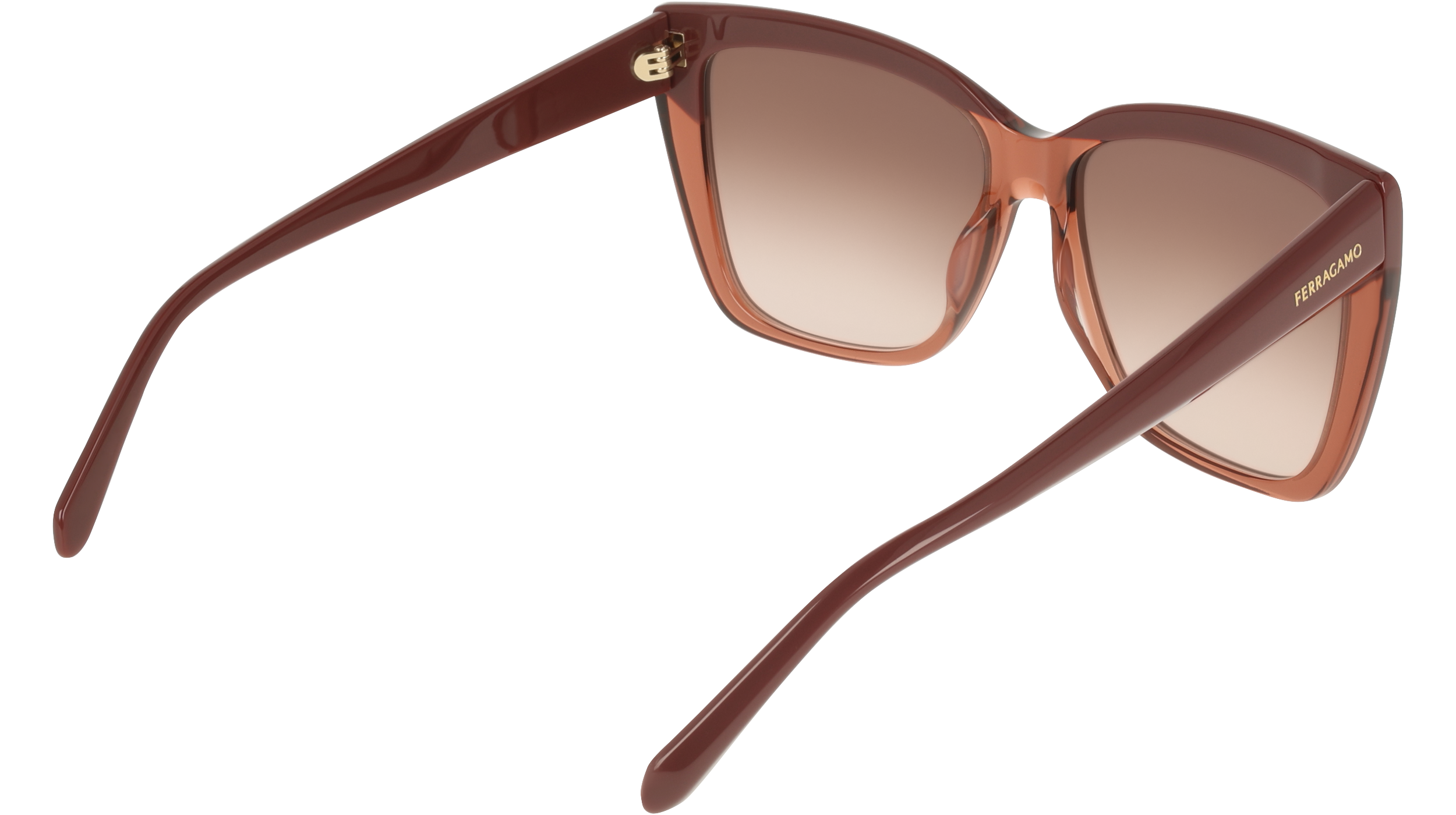SF1102S 619 Occhiali da sole Ferragamo 6