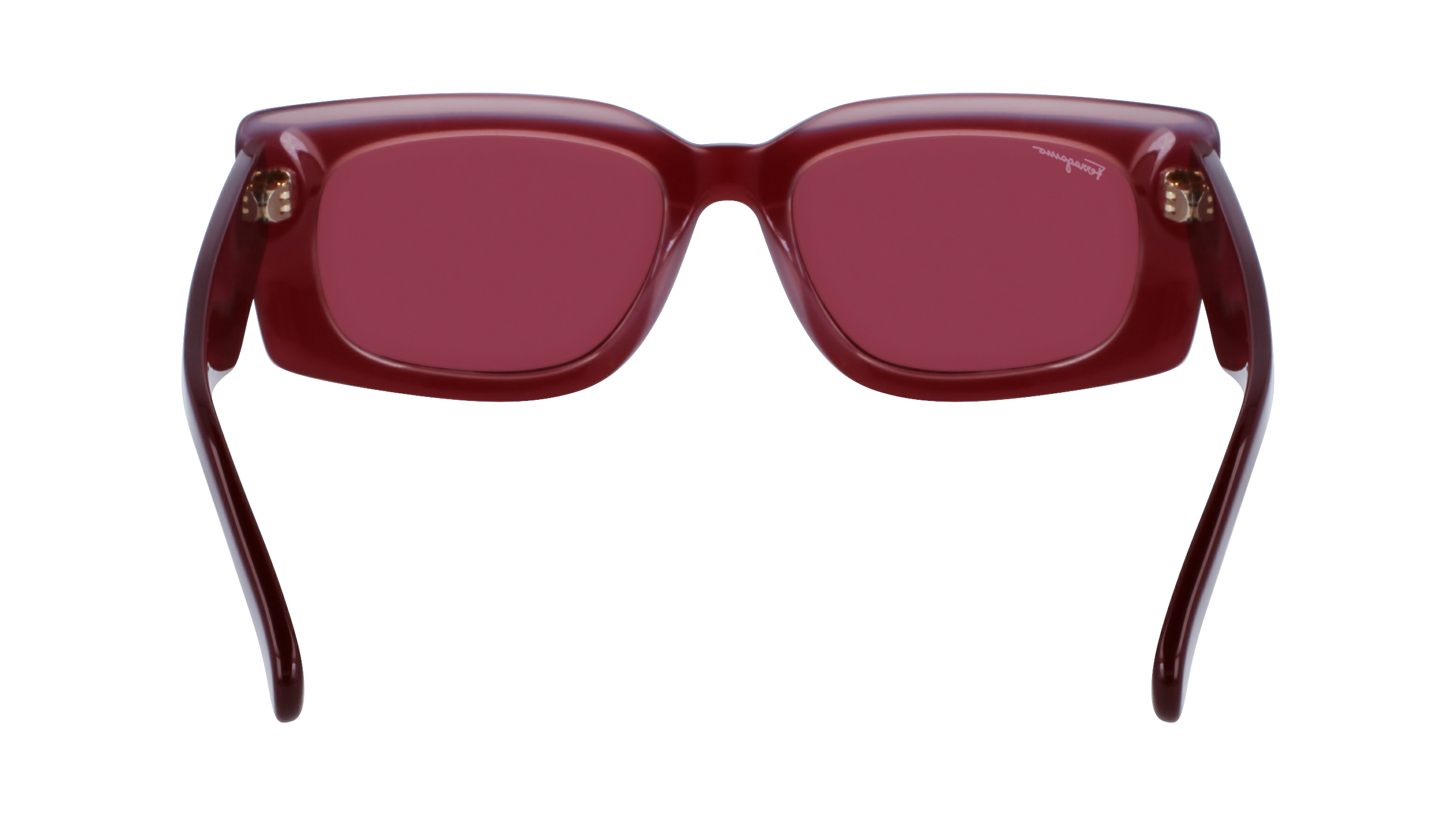 SF1079S 614 Occhiali da sole Ferragamo 5