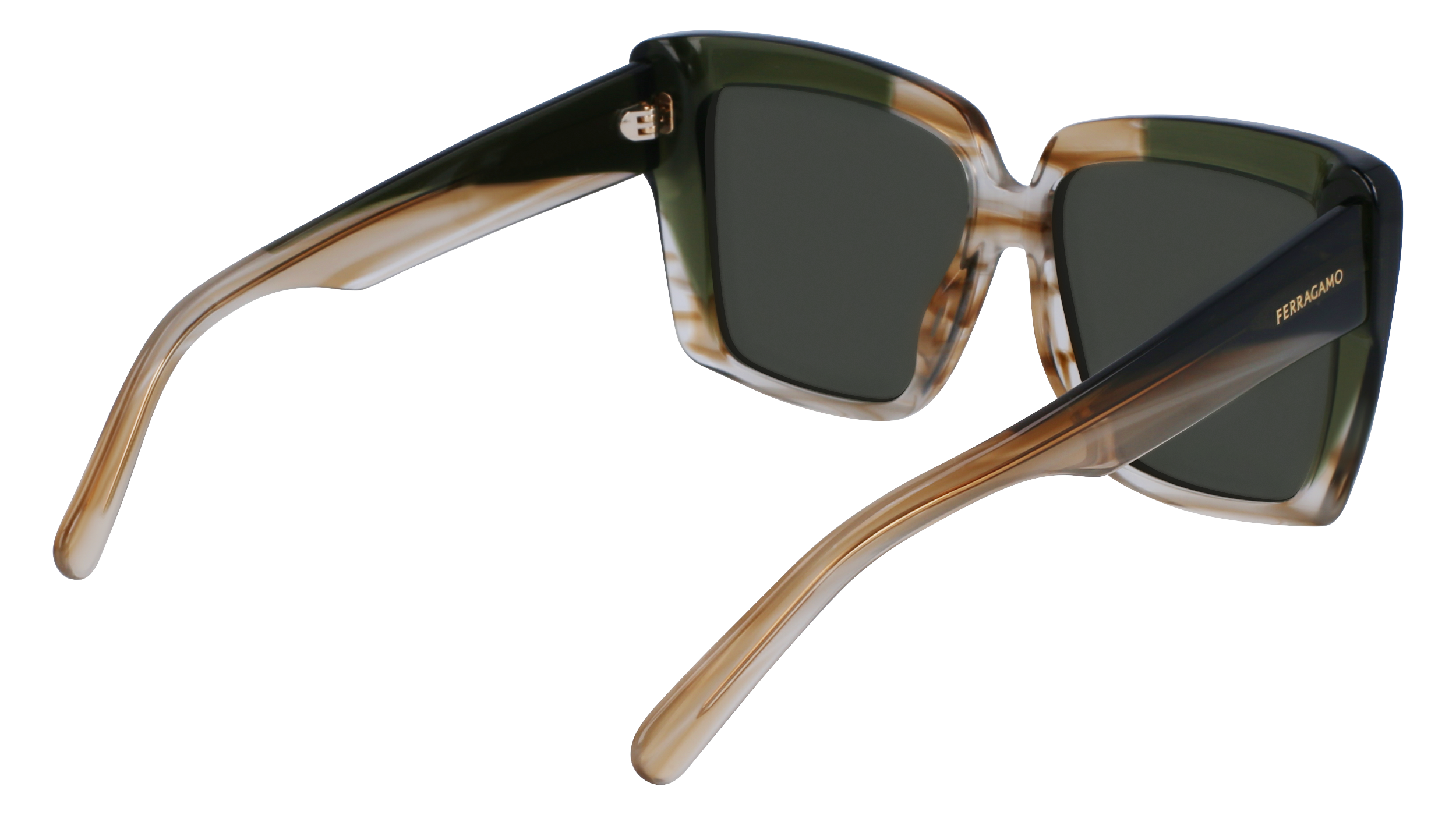 SF1060SN 263 Occhiali da sole Ferragamo 5