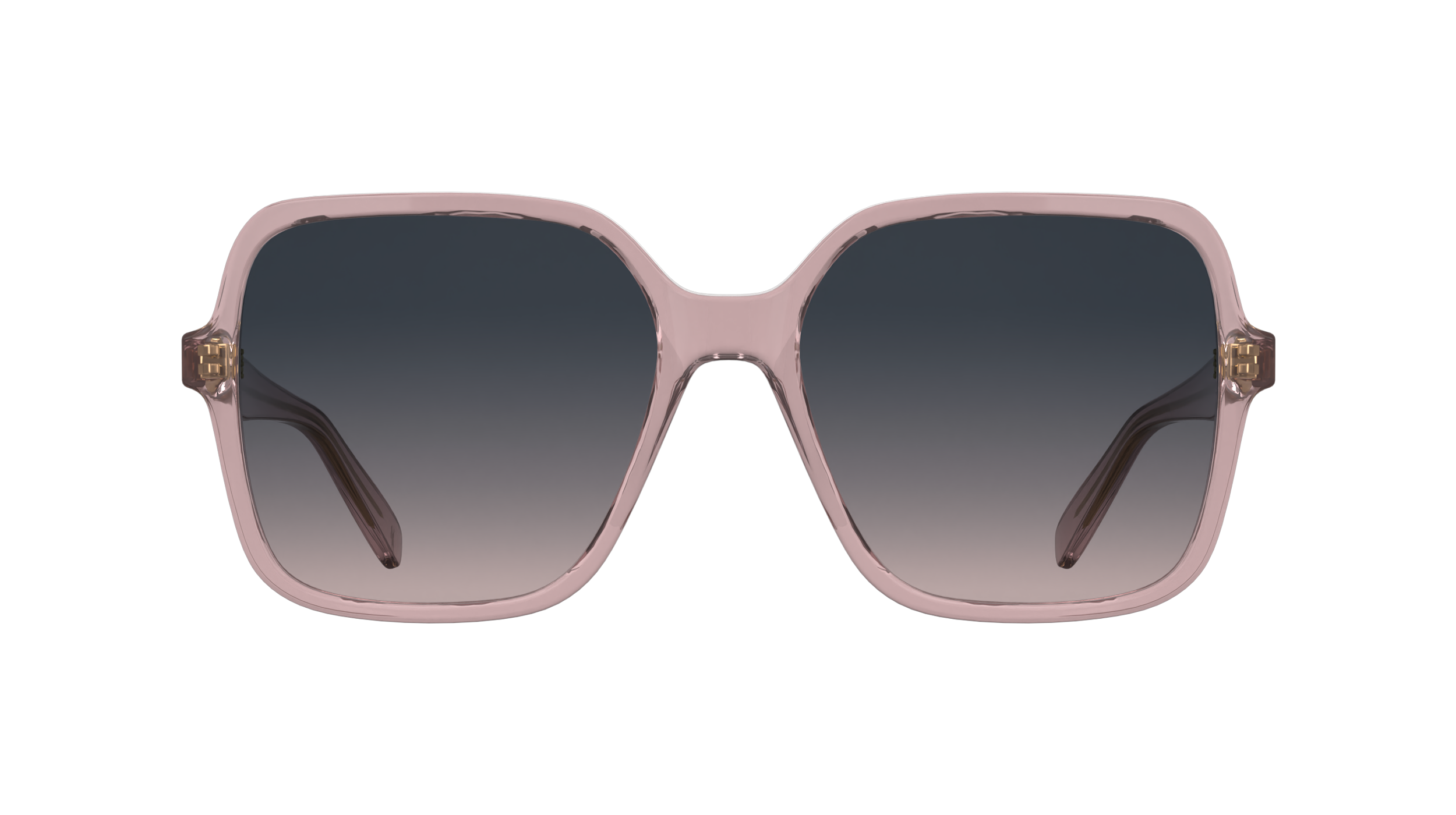 LONGCHAMP LO808S 610