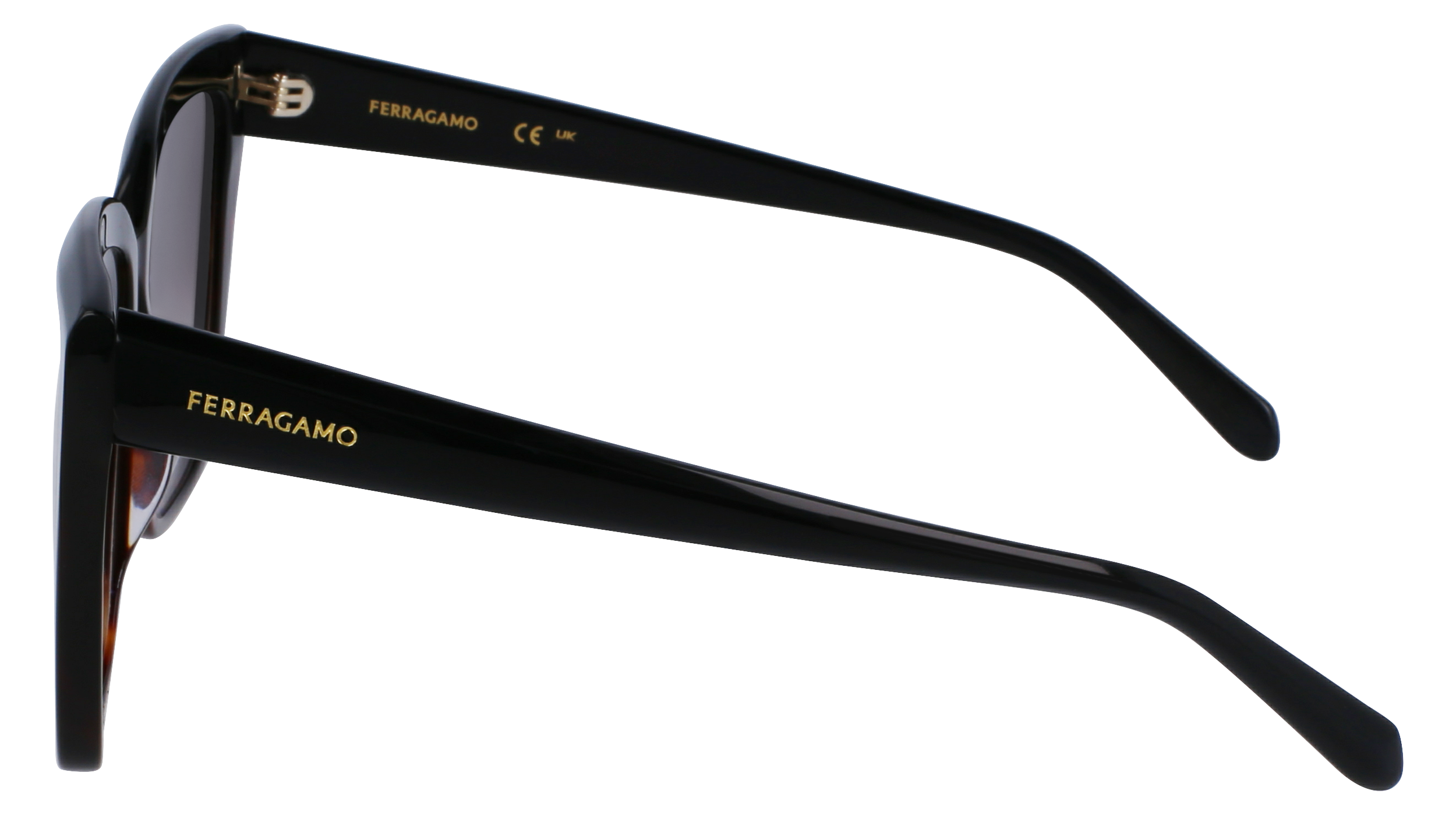 SF1102S 006 Occhiali da sole Ferragamo 6