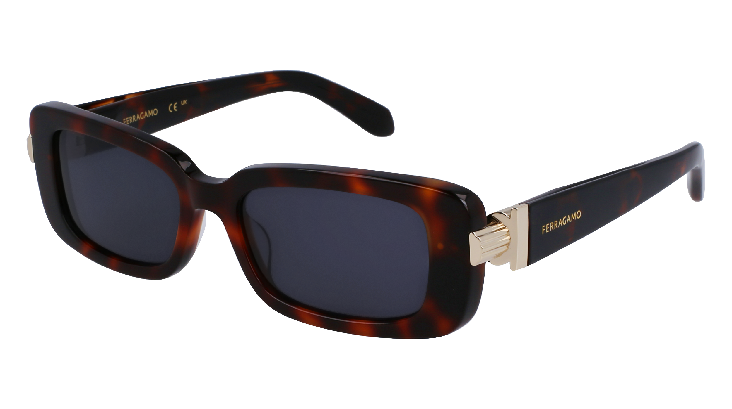 SF1105S 240 Occhiali da sole Ferragamo 1