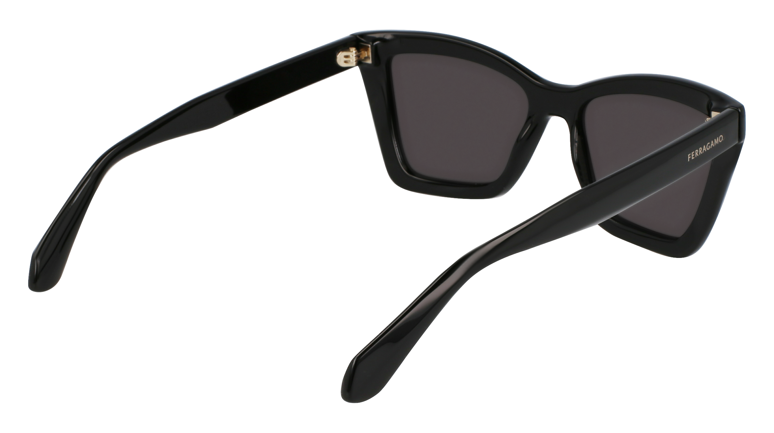 SF2039SE 001 Occhiali da sole Ferragamo 5