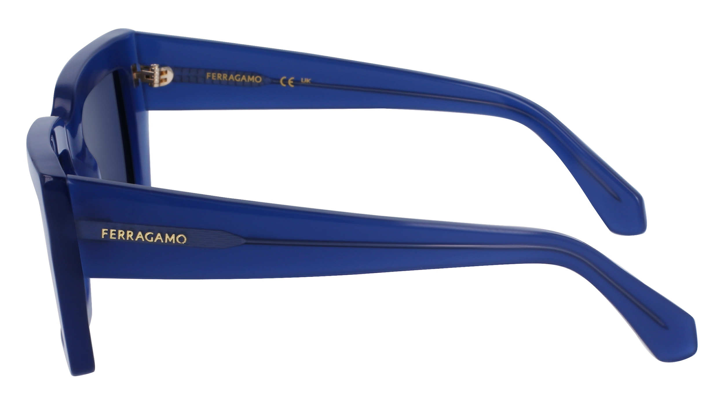 SF1108S 423 Occhiali da sole Ferragamo 6