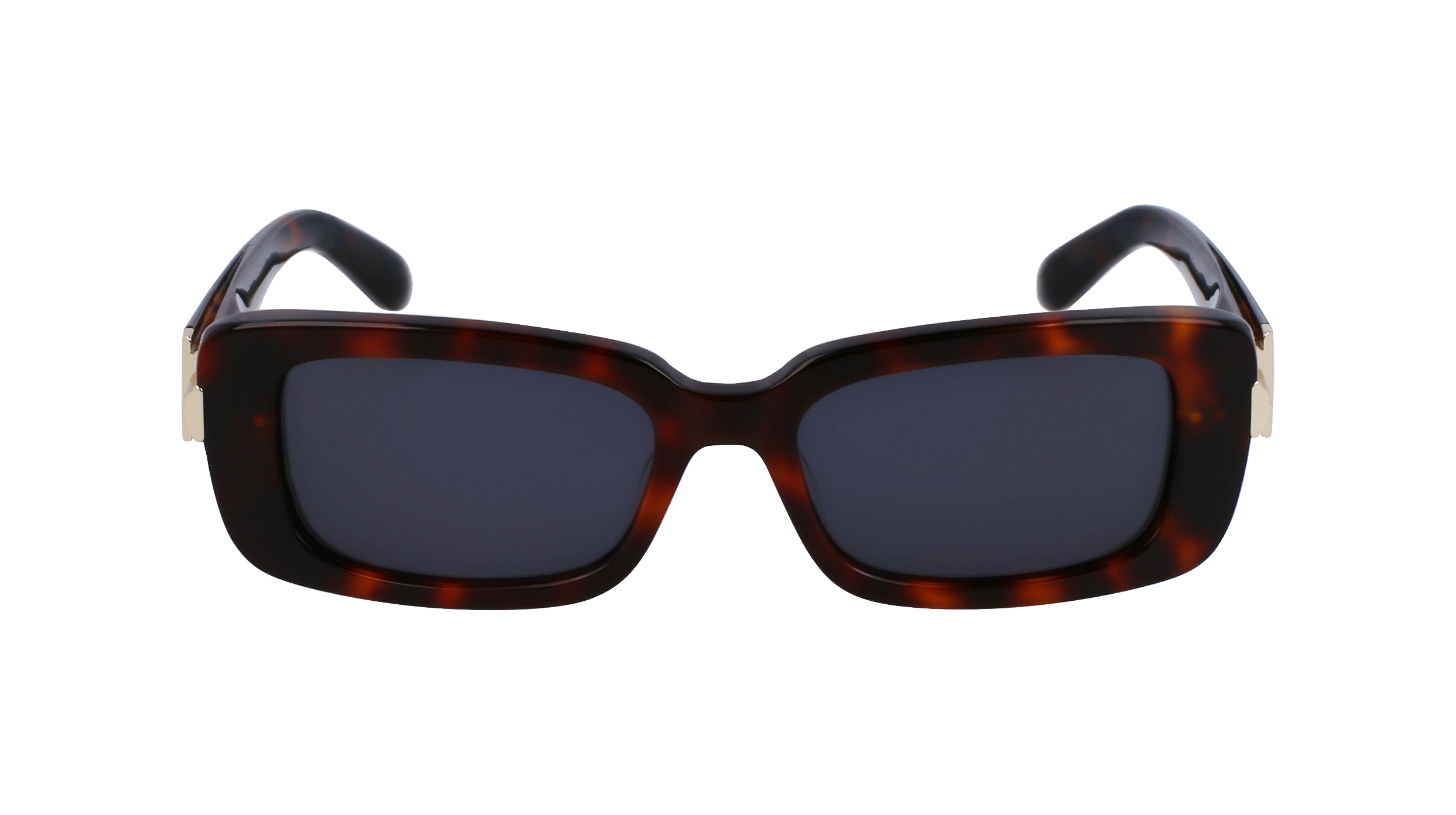 SF1105S 240 Occhiali da sole Ferragamo 2