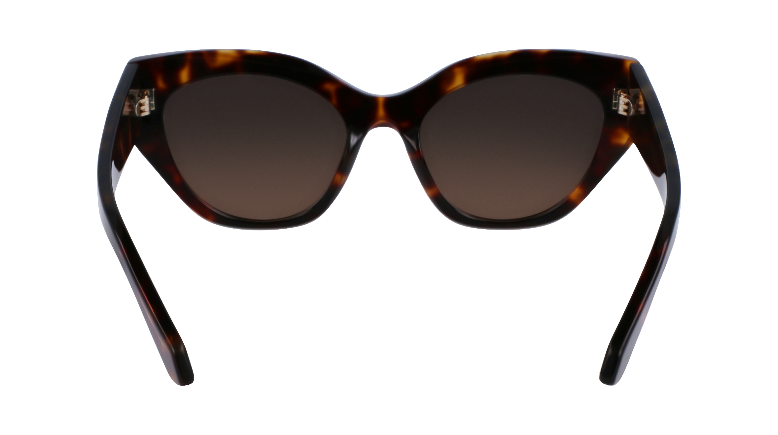 SF1107S 242 Occhiali da sole Ferragamo 10