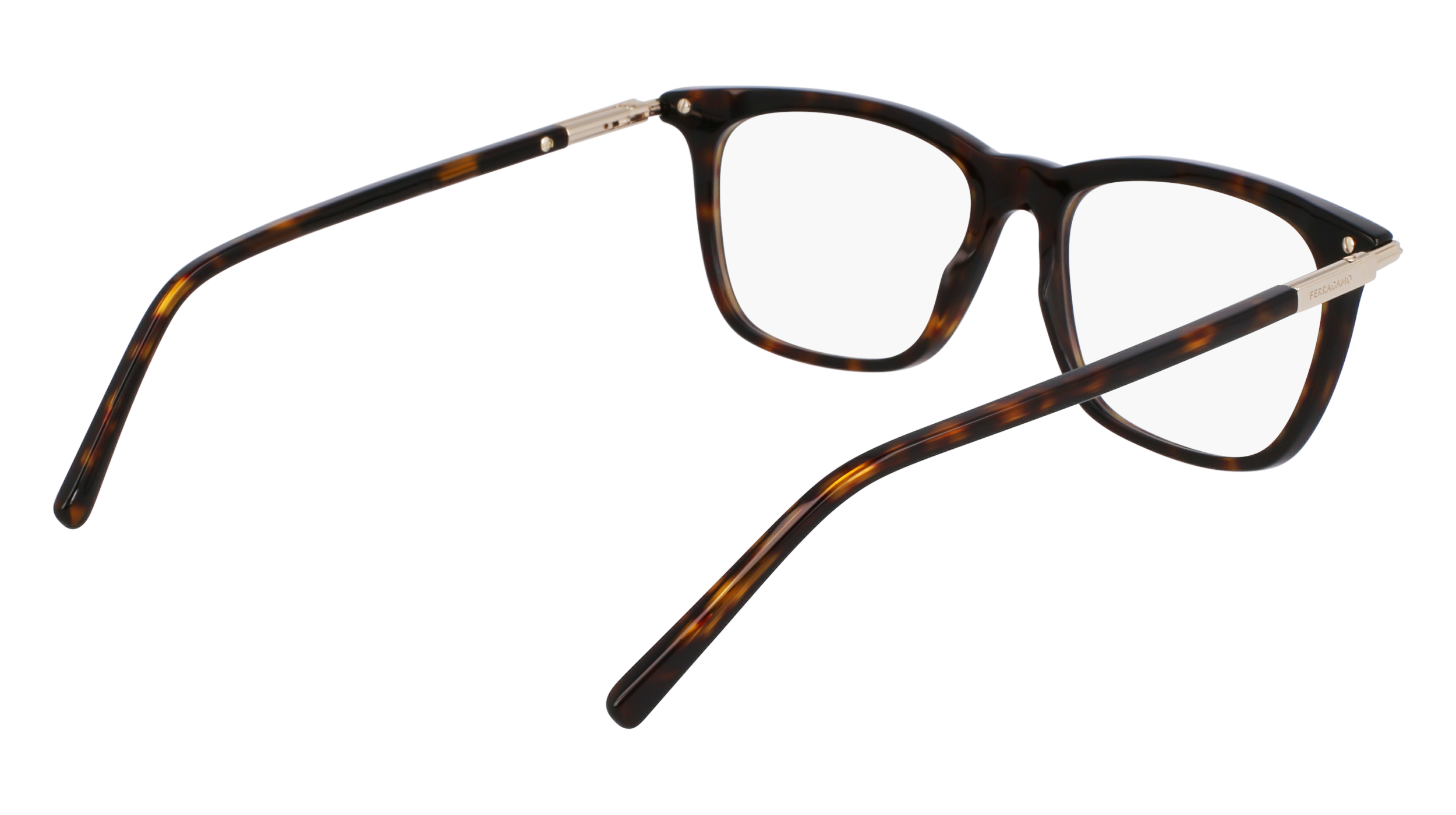 SF3007 242 Montature da vista Ferragamo 5