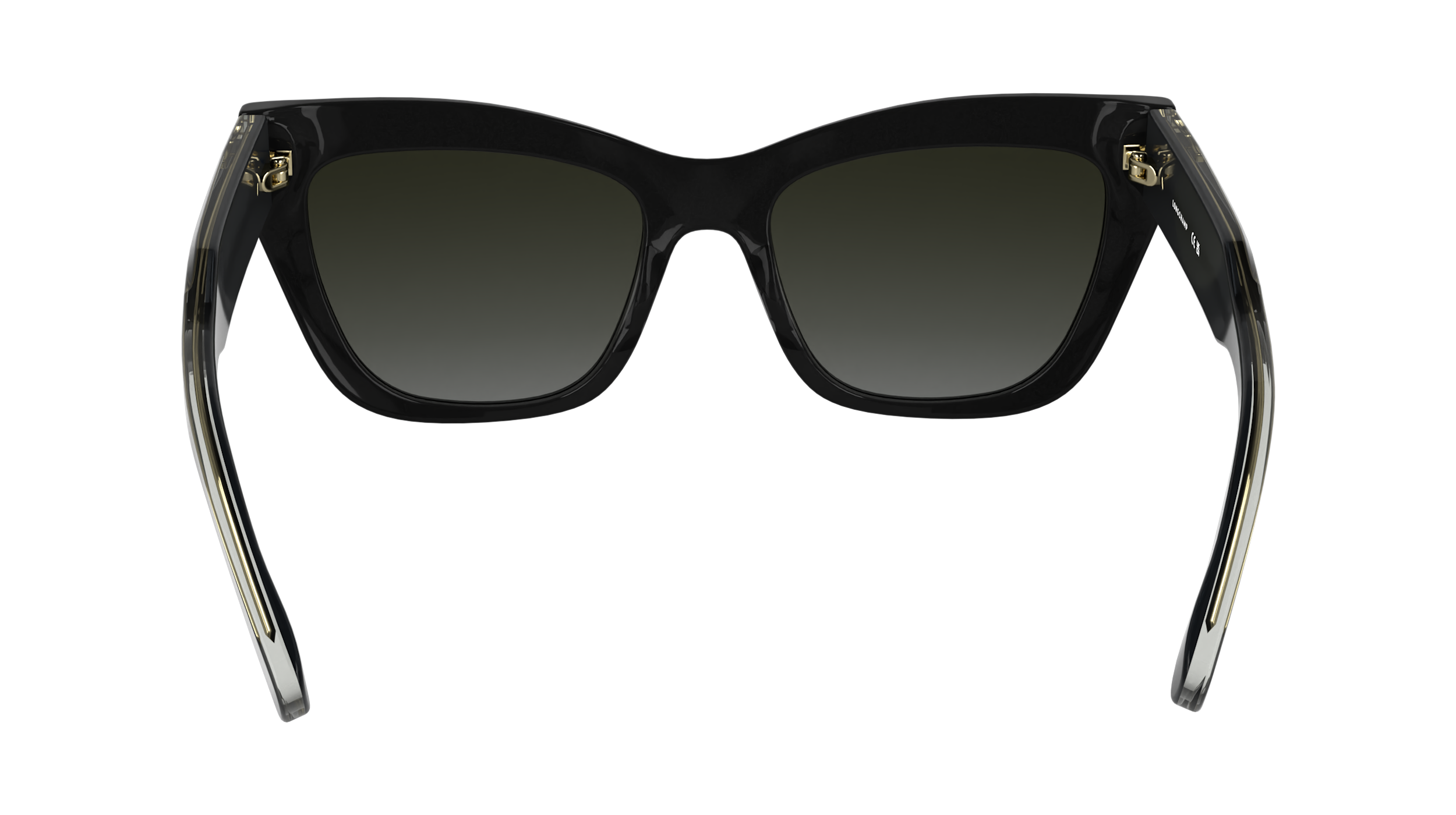 LO777S 1 Occhiali da sole LONGCHAMP 5