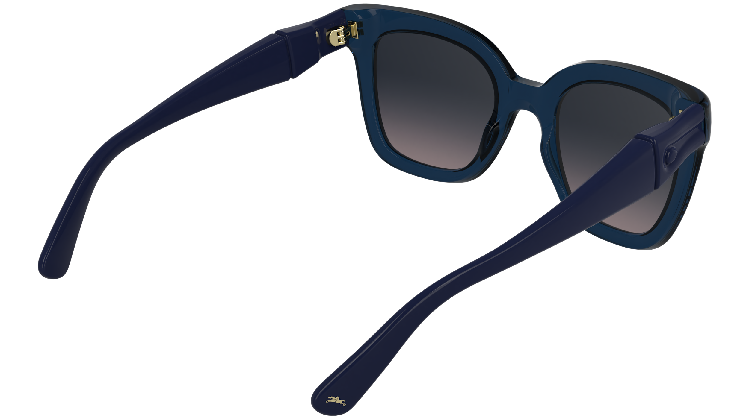 LO793S 400 Occhiali da sole LONGCHAMP 6