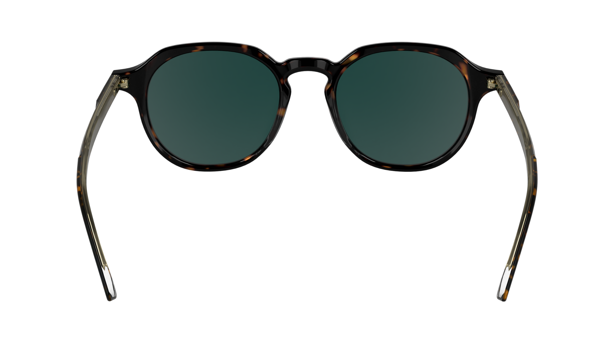 CK24538S 235 Occhiali da sole Calvin Klein 6