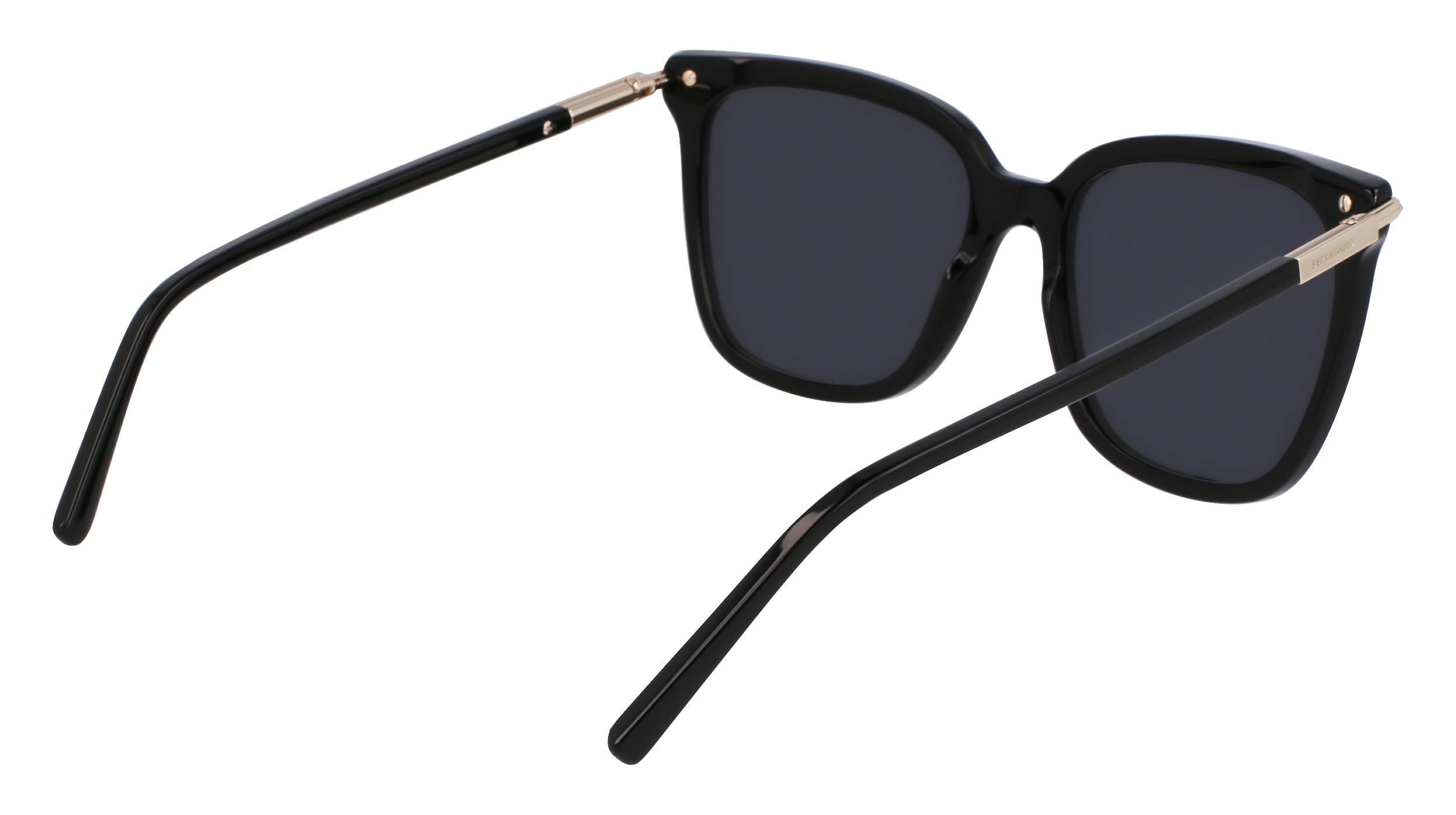 SF2037S 001 Occhiali da sole Ferragamo 5