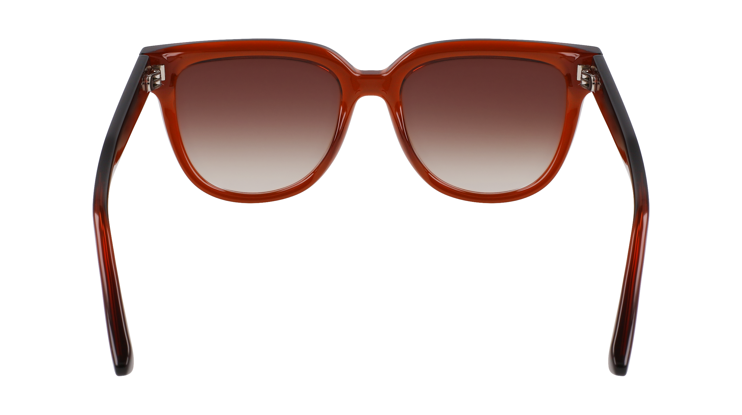 LO755S 830 Occhiali da sole LONGCHAMP 6