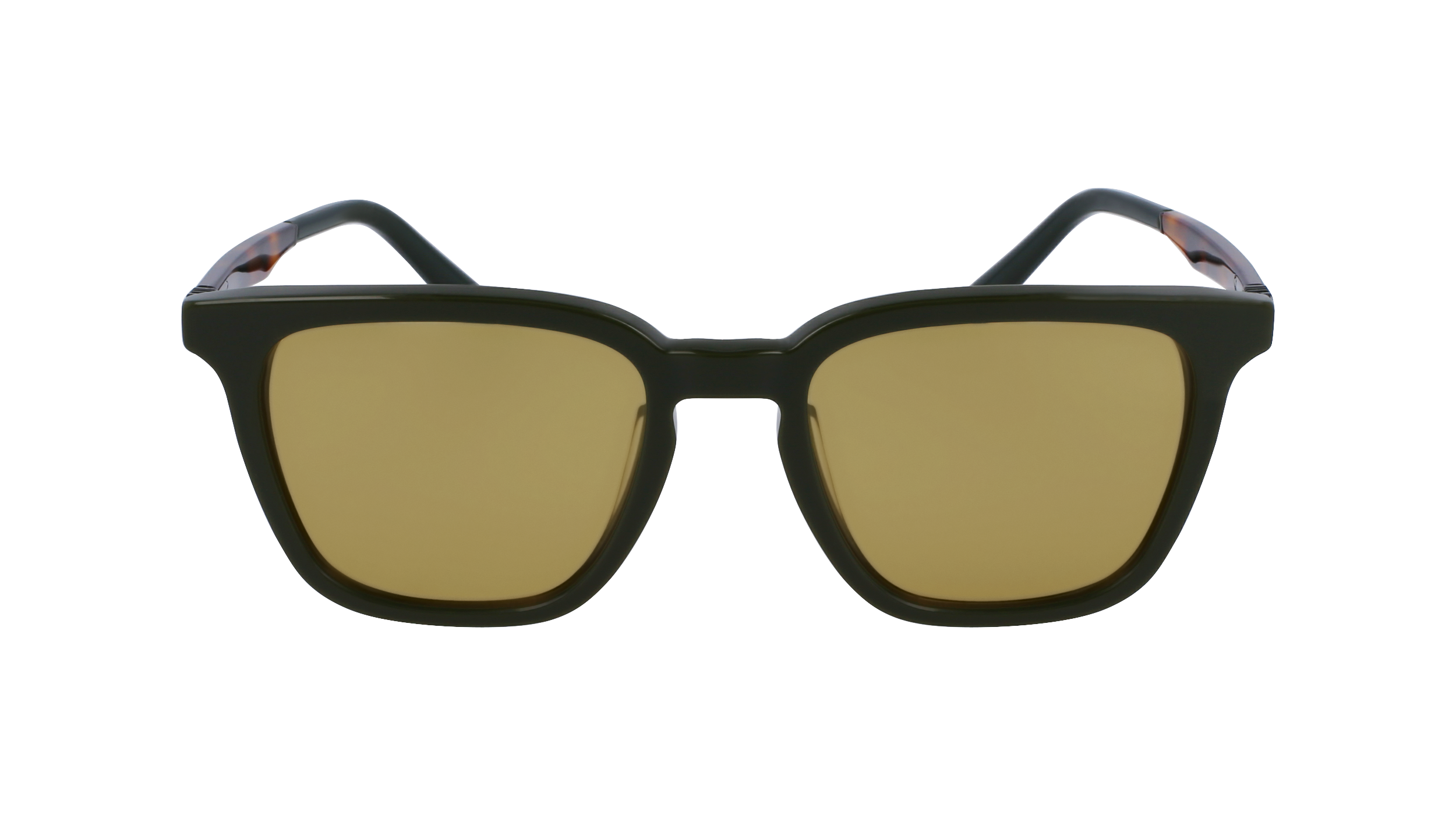 SF1100S 302 Occhiali da sole Ferragamo 2