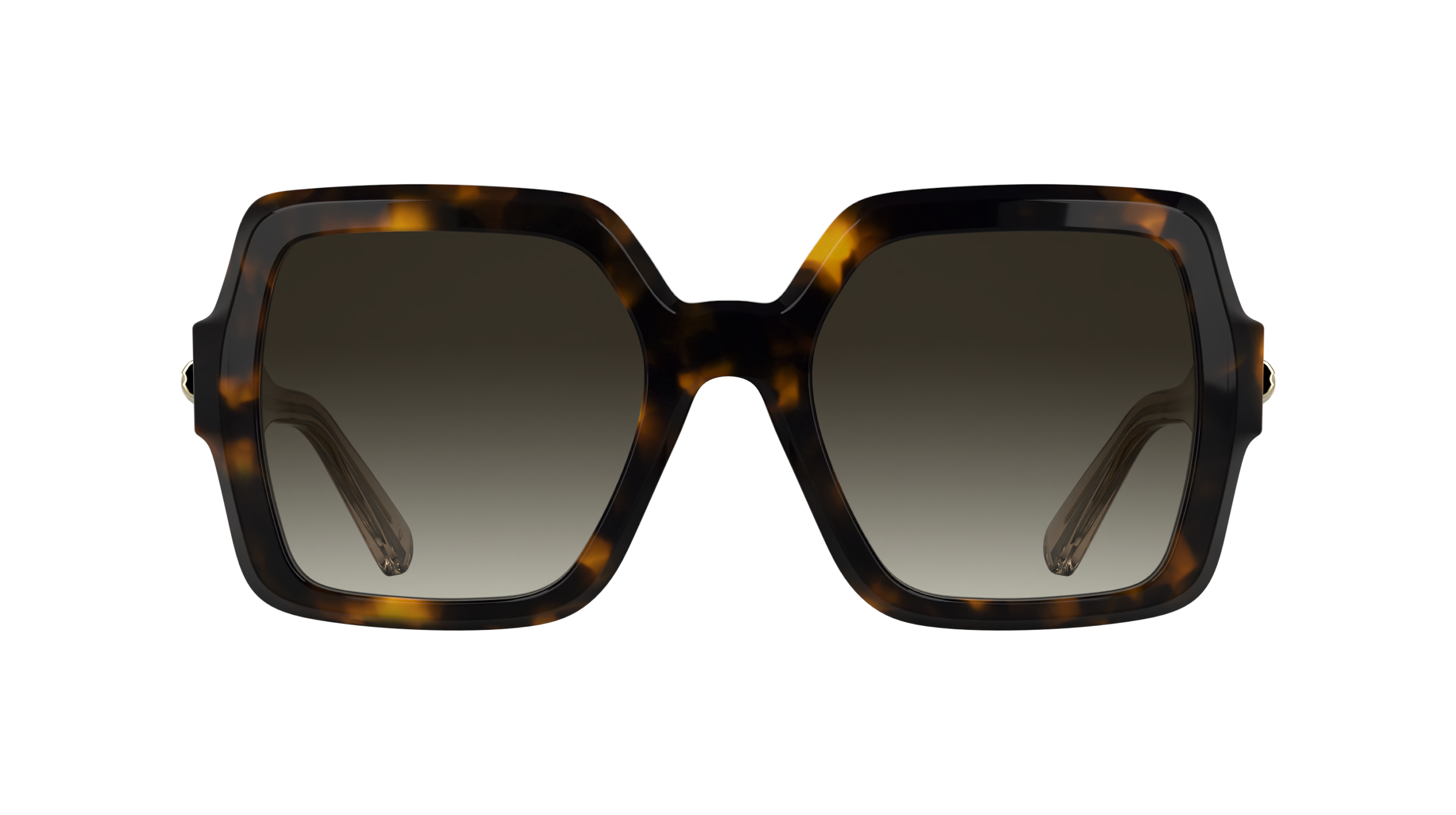 LONGCHAMP LO790S 231