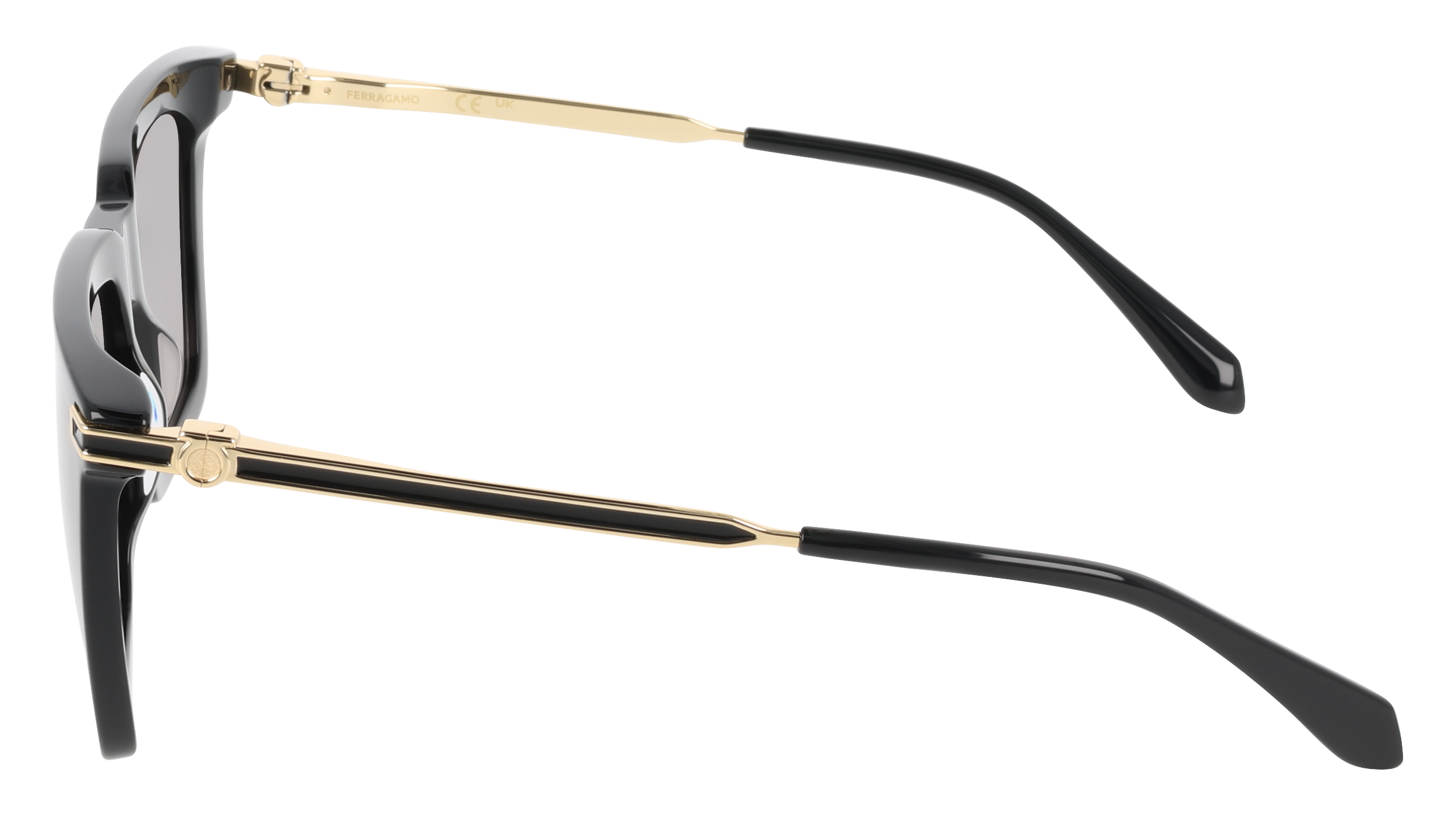 SF2077SLBI 1 Occhiali da sole Ferragamo 3