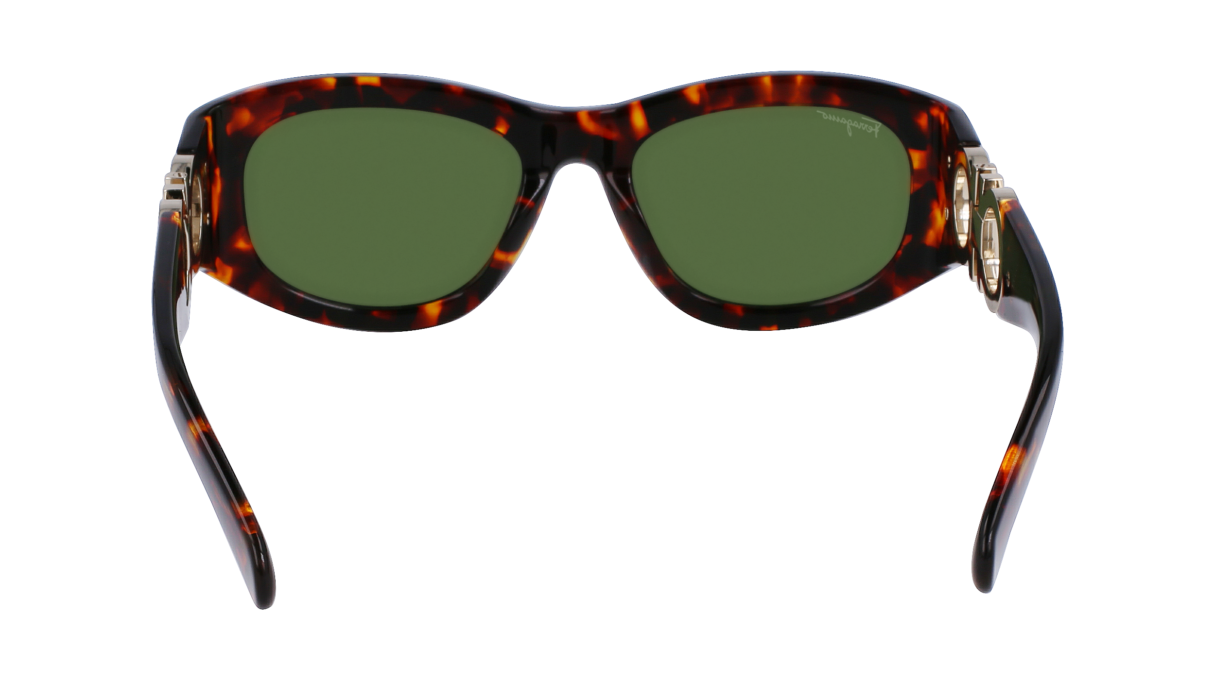 SF1082S 219 Occhiali da sole Ferragamo 5