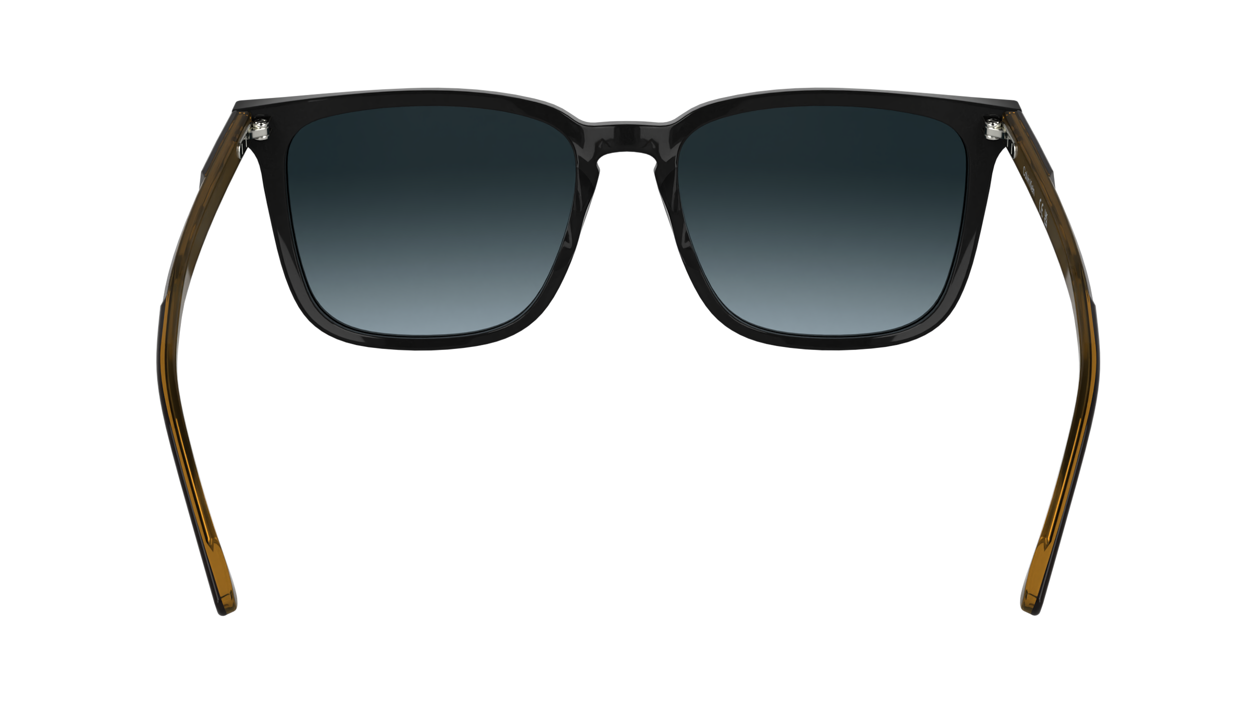 CK25507S 001 Occhiali da sole Calvin Klein 5
