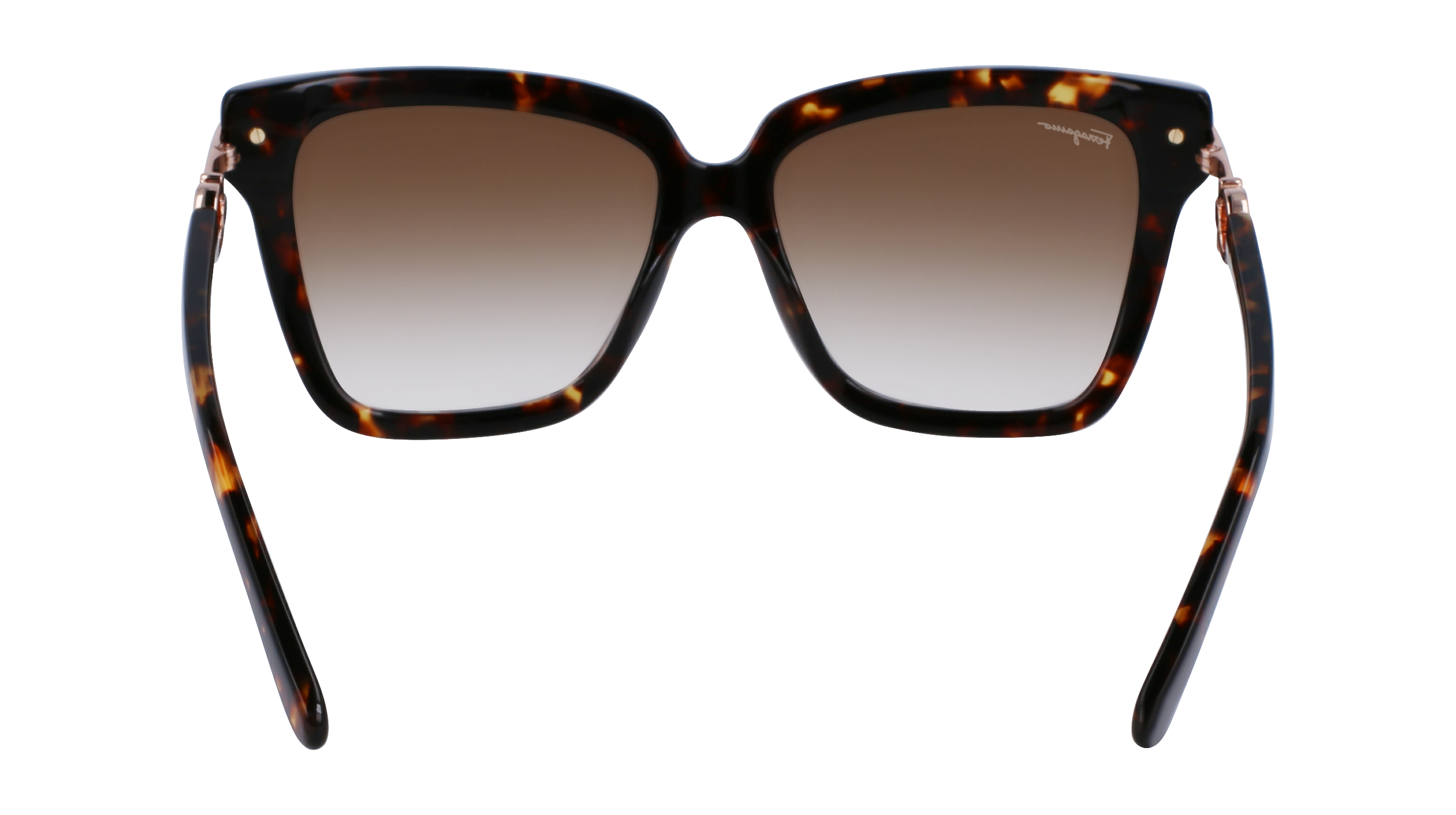 SF1085S 219 Occhiali da sole Ferragamo 5
