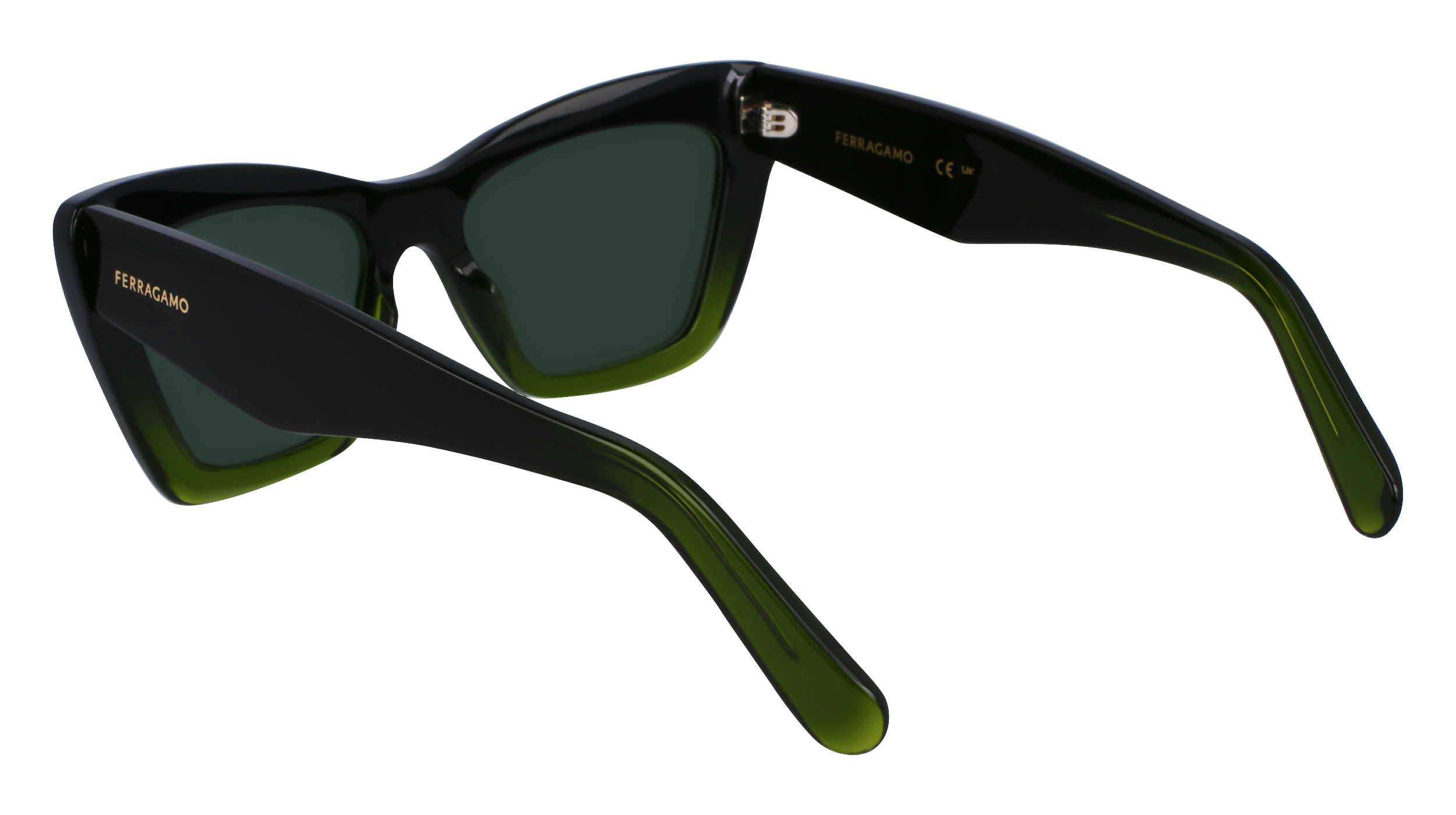 SF929SN 316 Occhiali da sole Ferragamo 5