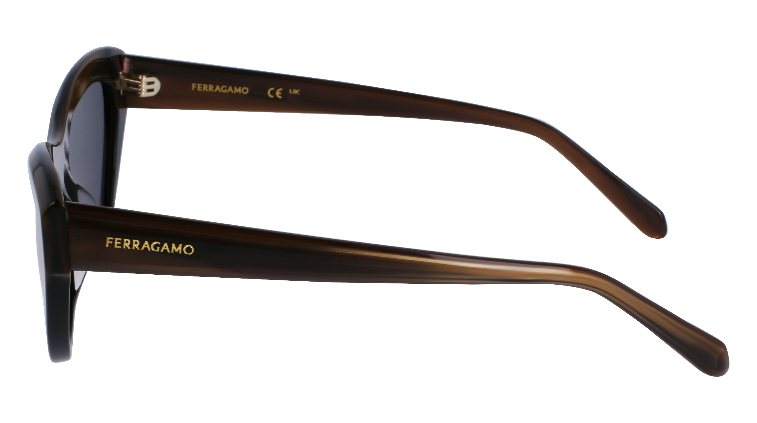 SF1103S 217 Occhiali da sole Ferragamo 5