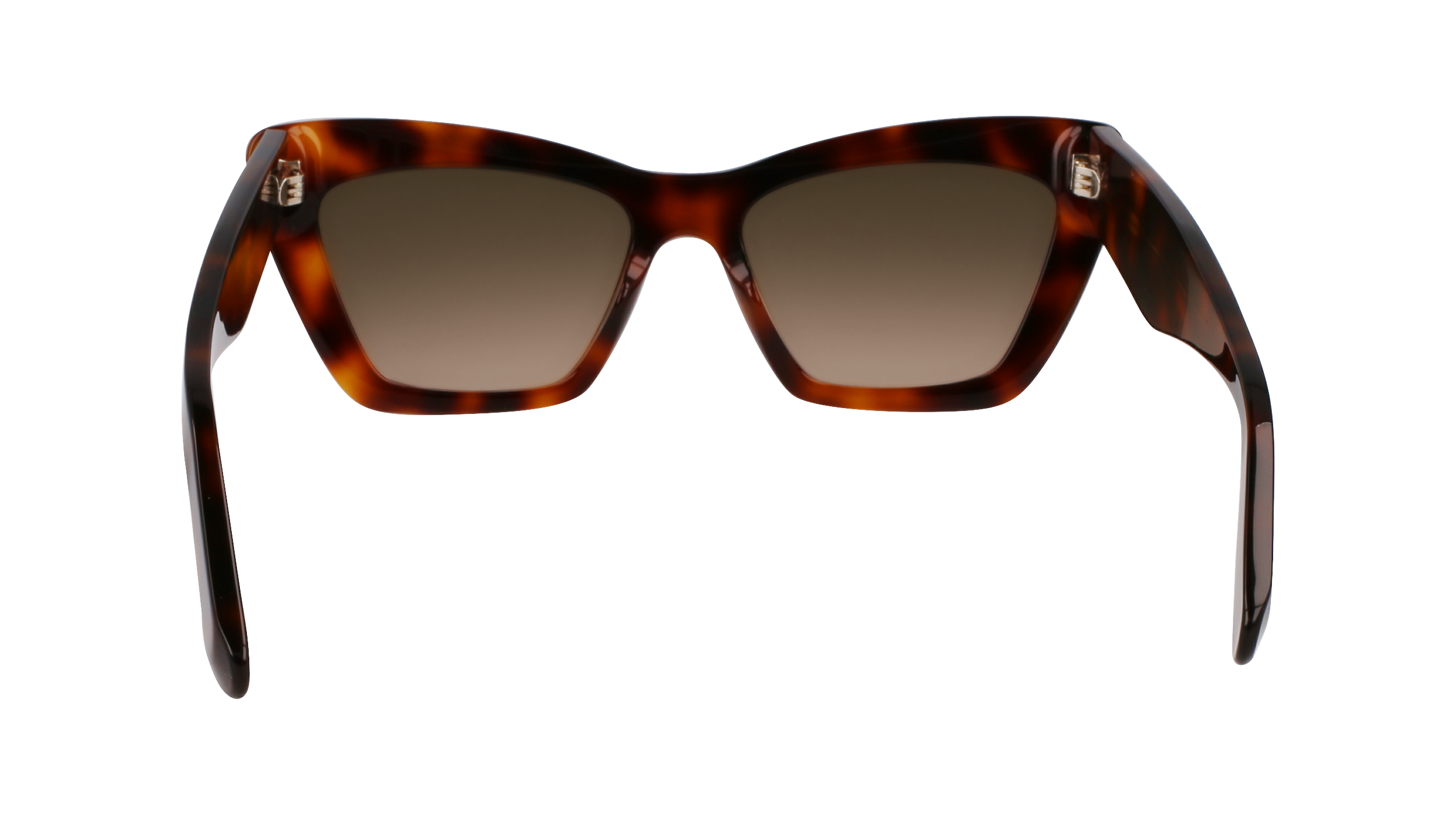 SF929SN 219 Occhiali da sole Ferragamo 6